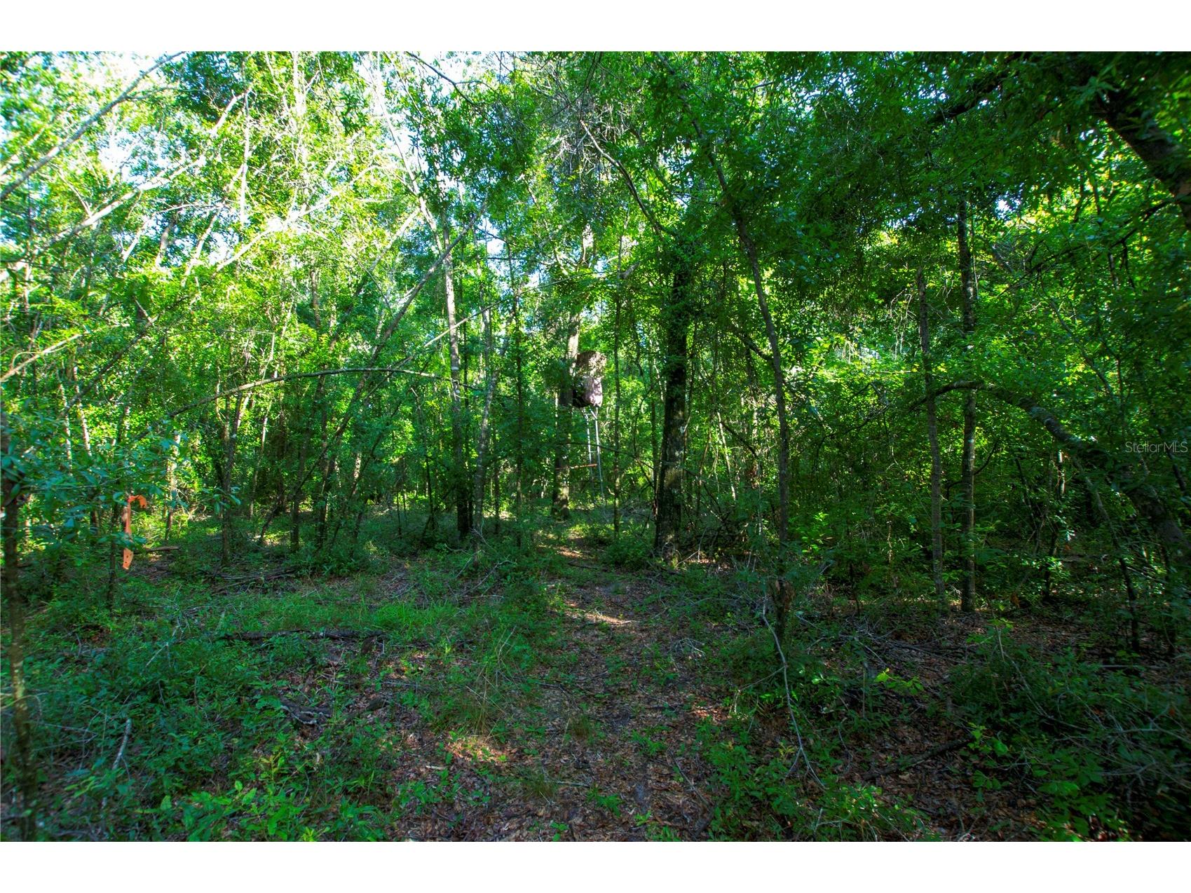 18233 185th Rd Live Oak FL 32060 TB8508929 image76
