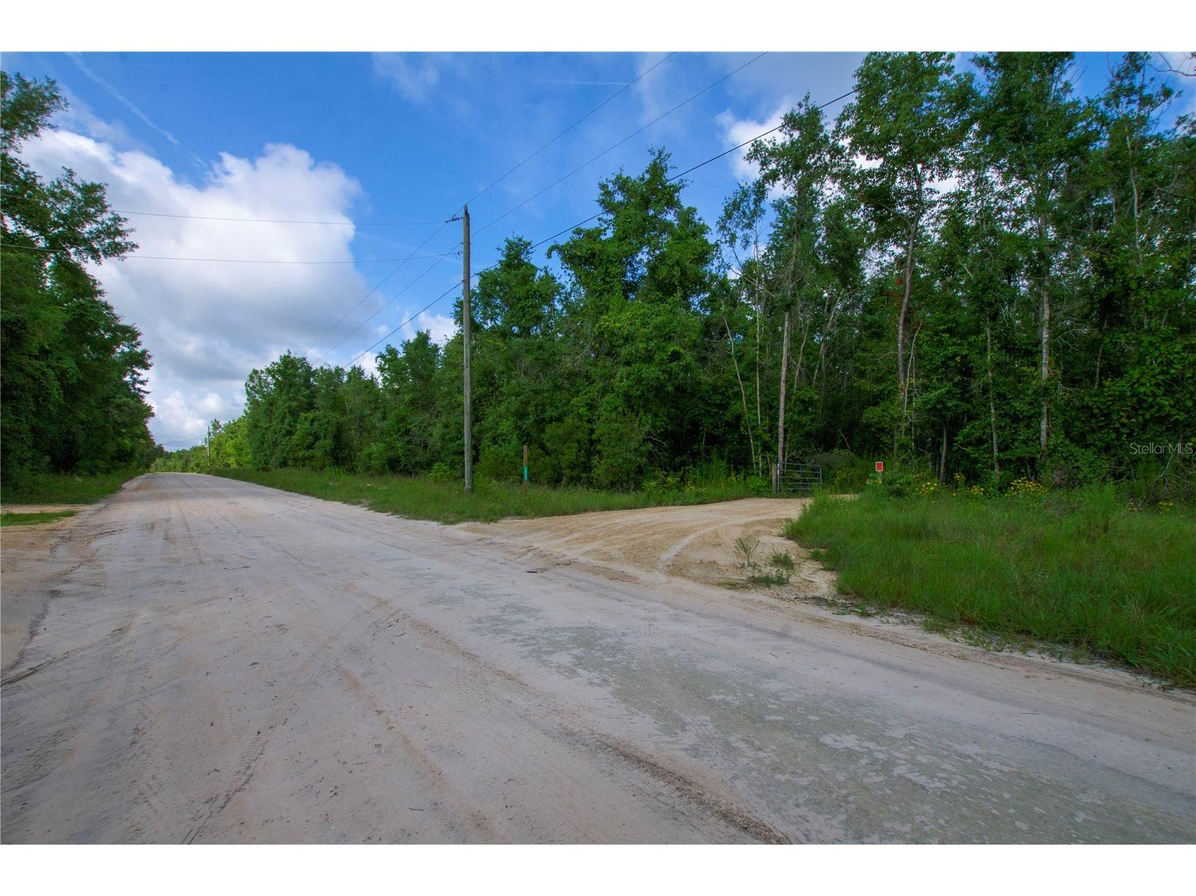 18233 185th Rd Live Oak FL 32060 TB8508929 image8