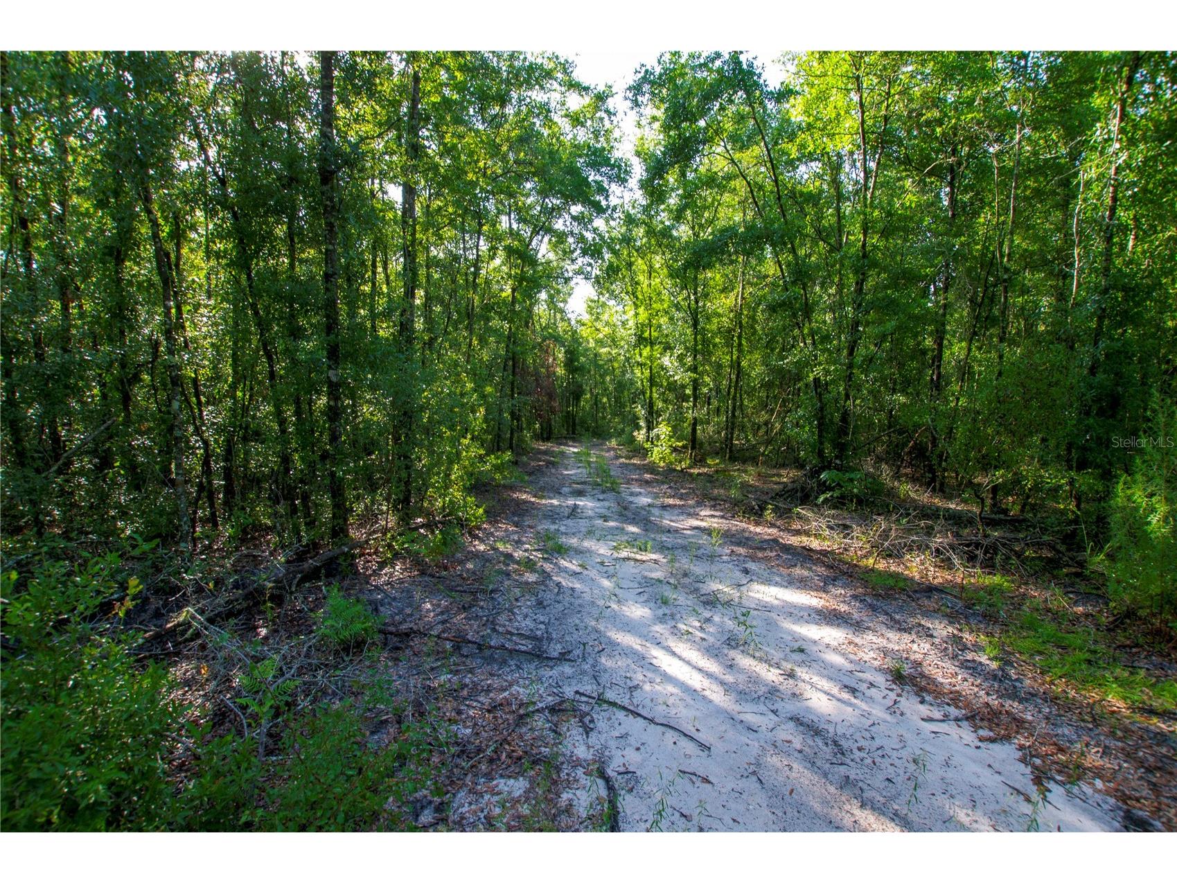 18233 185th Rd Live Oak FL 32060 TB8508929 image83