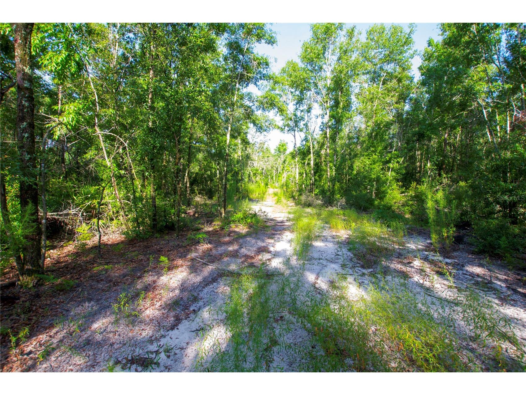 18233 185th Rd Live Oak FL 32060 TB8508929 image84