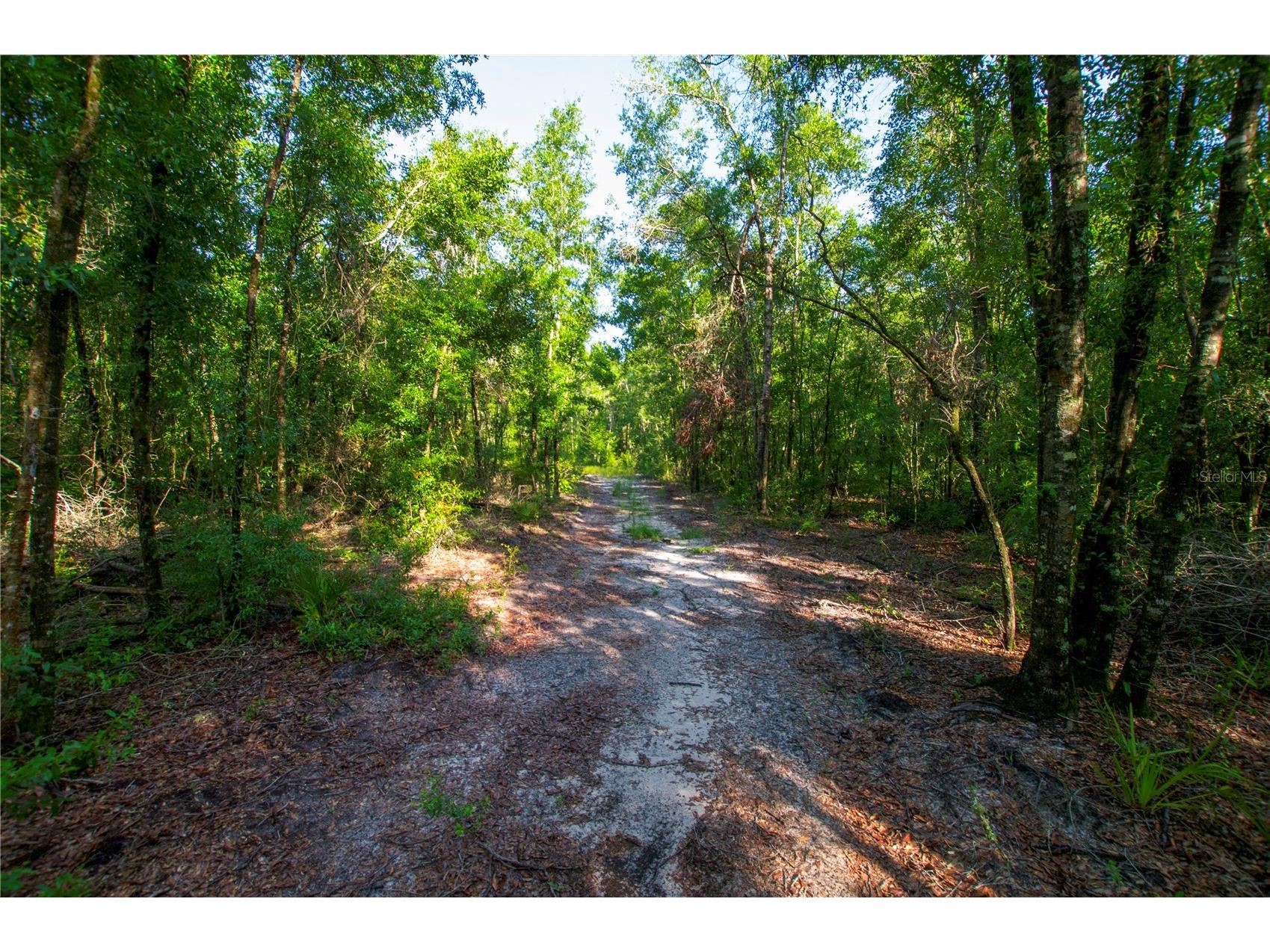 18233 185th Rd Live Oak FL 32060 TB8508929 image85