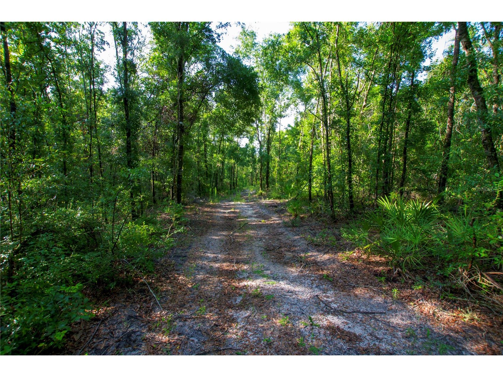 18233 185th Rd Live Oak FL 32060 TB8508929 image86