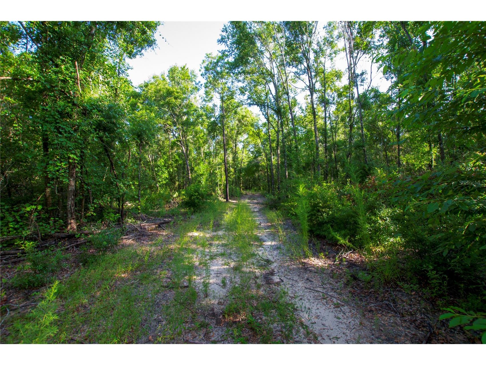 18233 185th Rd Live Oak FL 32060 TB8508929 image87