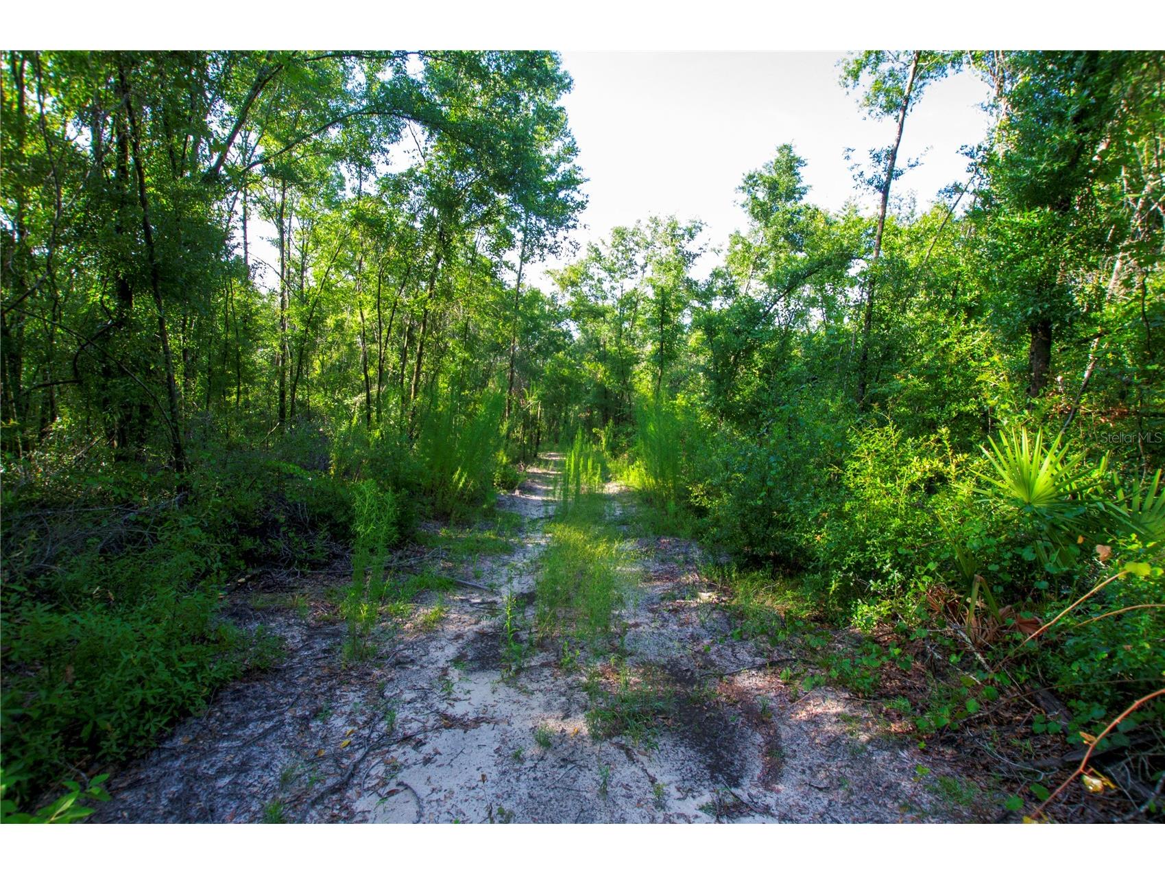 18233 185th Rd Live Oak FL 32060 TB8508929 image88