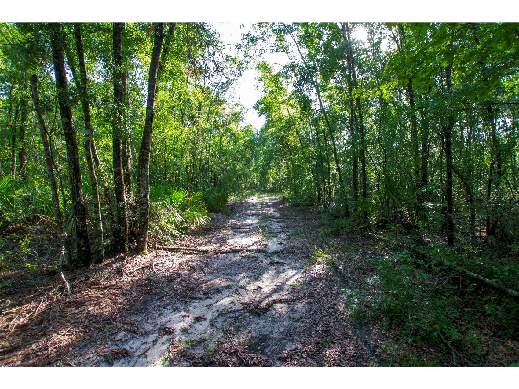 18233 185th Rd Live Oak FL 32060 TB8508929 image89