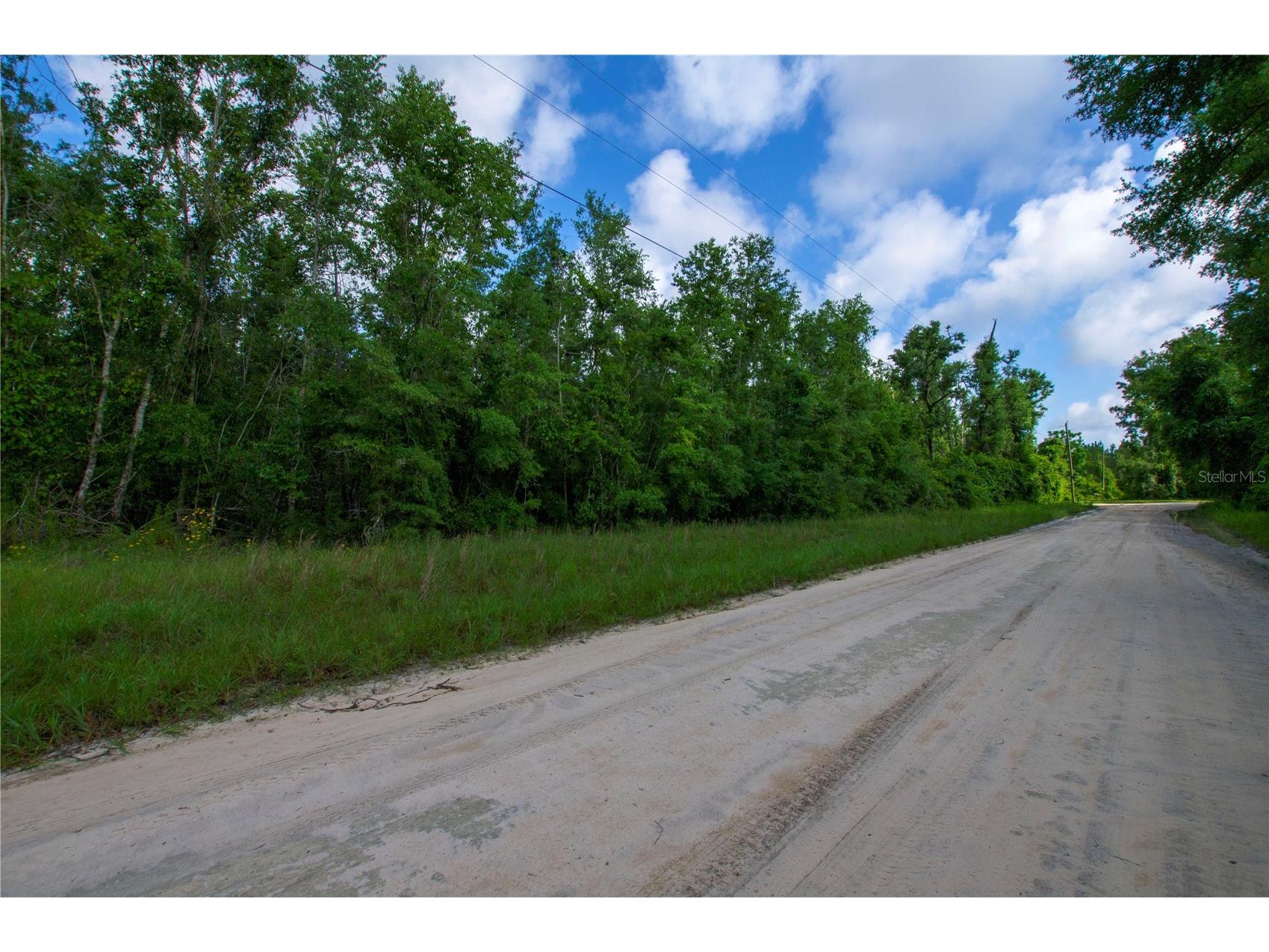 18233 185th Rd Live Oak FL 32060 TB8508929 image9