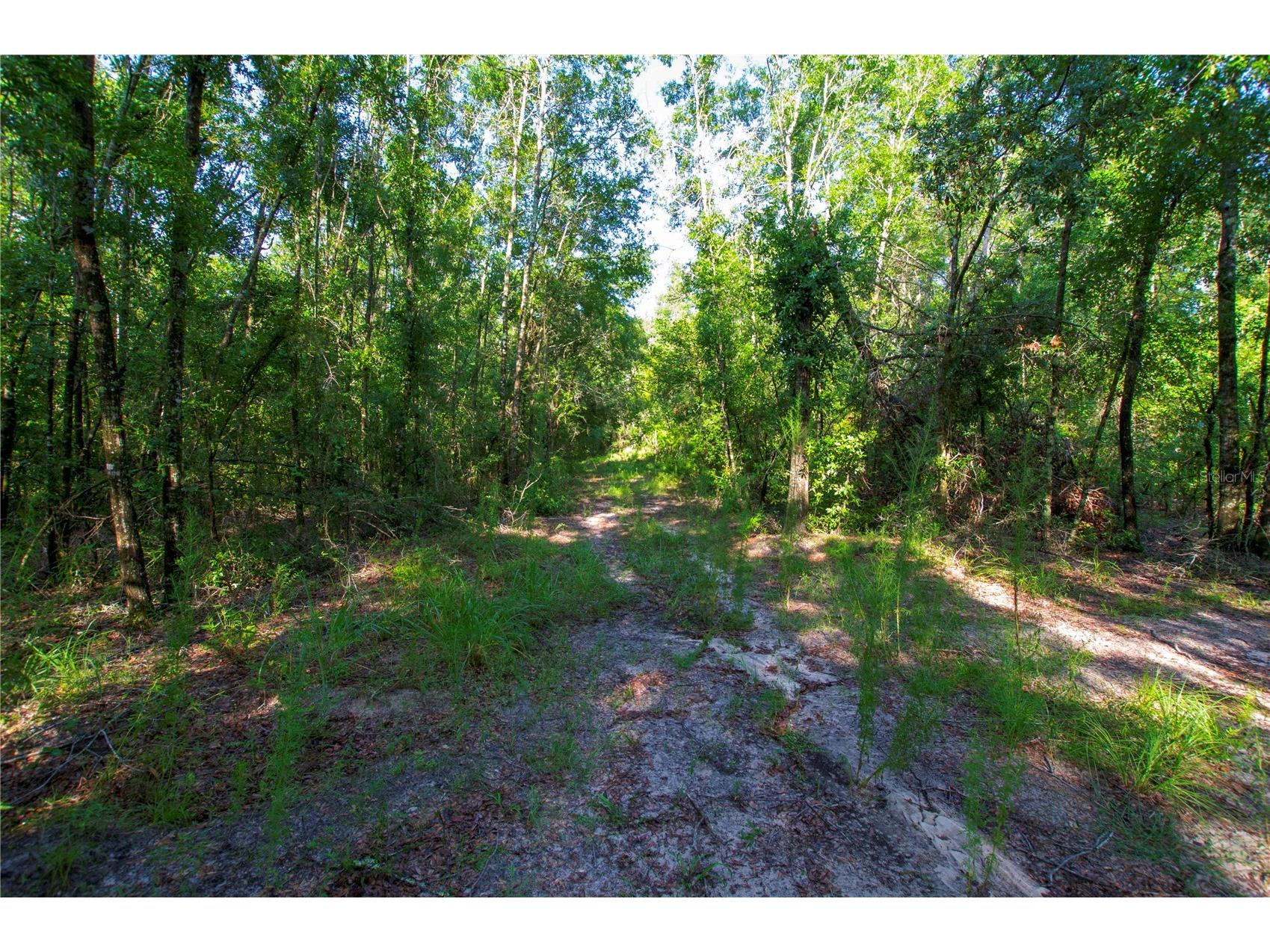 18233 185th Rd Live Oak FL 32060 TB8508929 image90