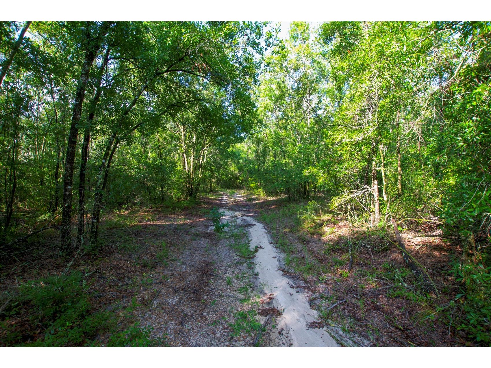 18233 185th Rd Live Oak FL 32060 TB8508929 image91
