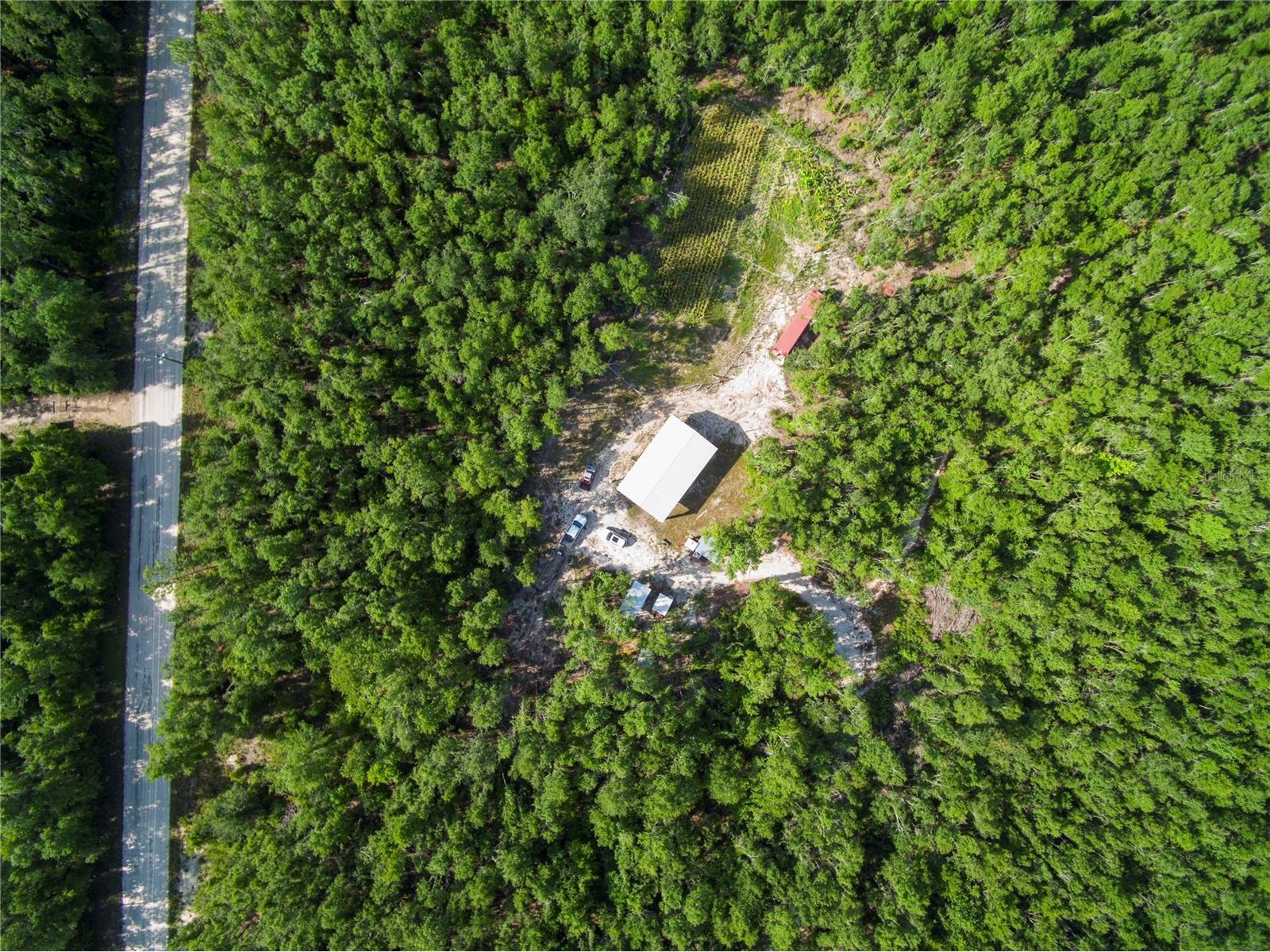 18233 185th Rd Live Oak FL 32060 TB8508929 image93
