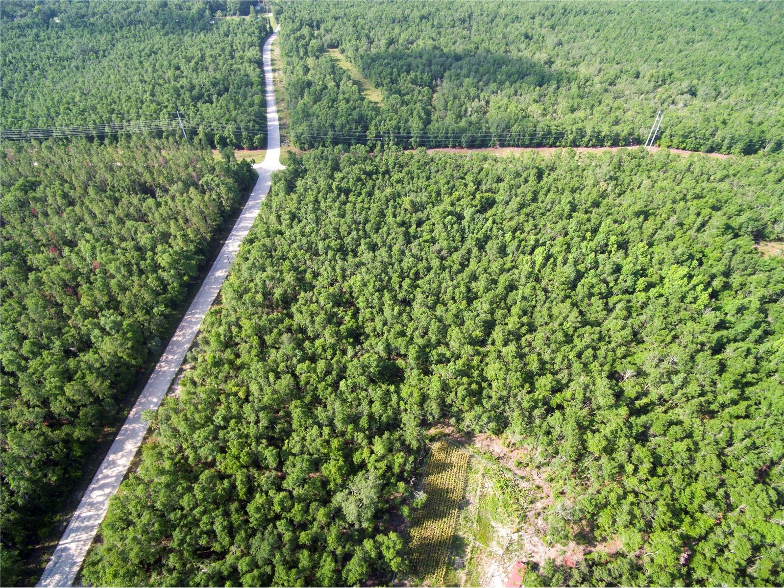 18233 185th Rd Live Oak FL 32060 TB8508929 image96