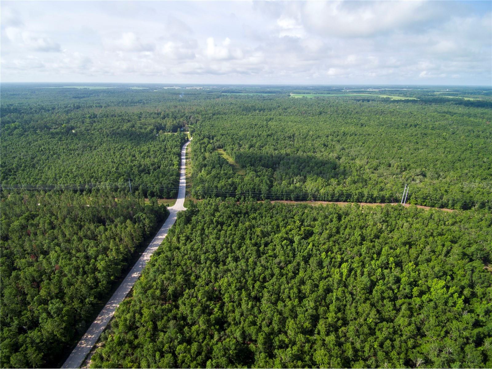 18233 185th Rd Live Oak FL 32060 TB8508929 image97