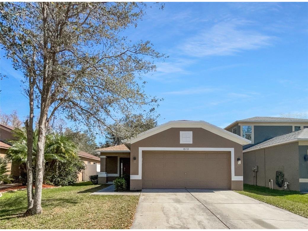 18233 Portside Street Tampa FL 33647 O6284683 image1