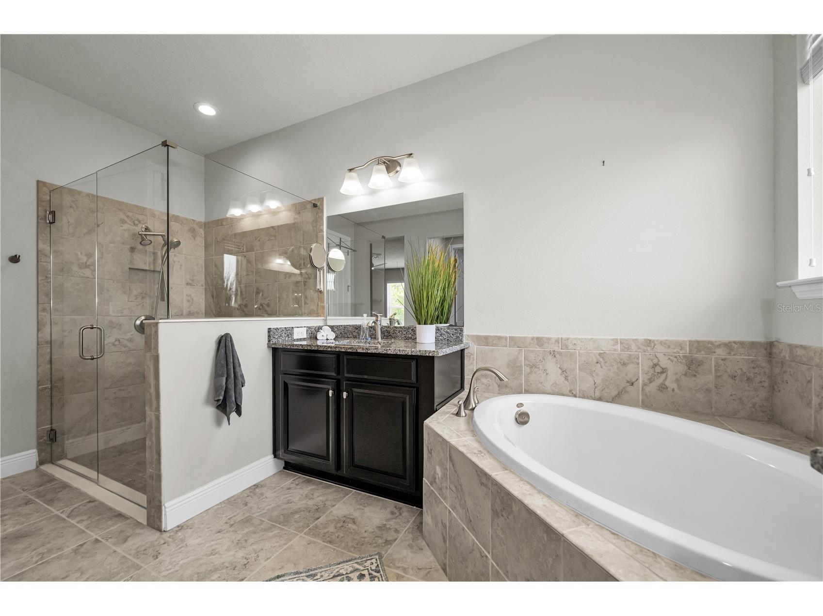 18233 Roseate Drive Lutz FL 33558 TB8512909 image27