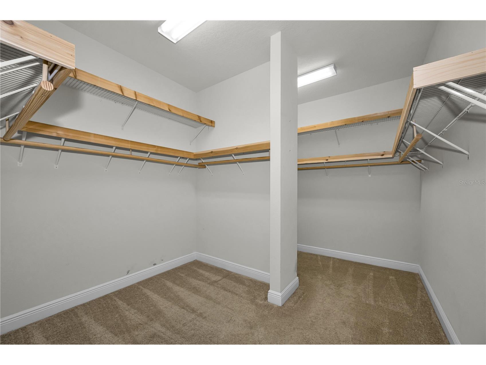 18233 Roseate Drive Lutz FL 33558 TB8512909 image29