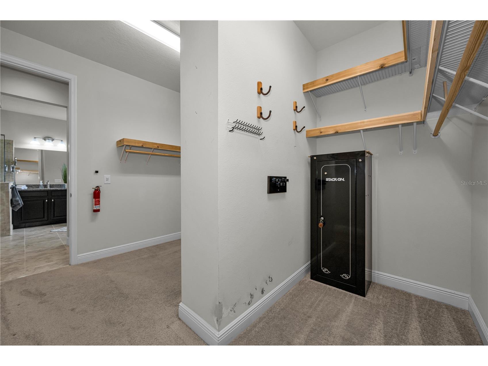 18233 Roseate Drive Lutz FL 33558 TB8512909 image30