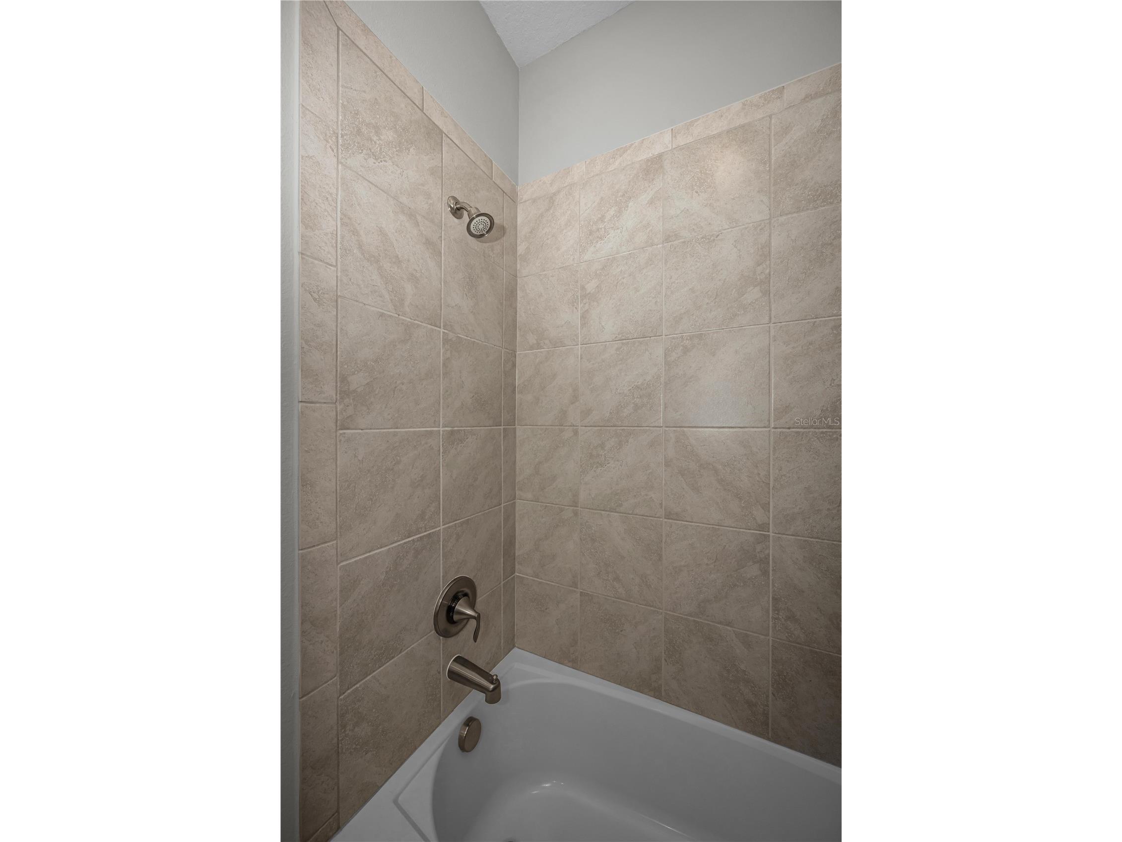 18233 Roseate Drive Lutz FL 33558 TB8512909 image34