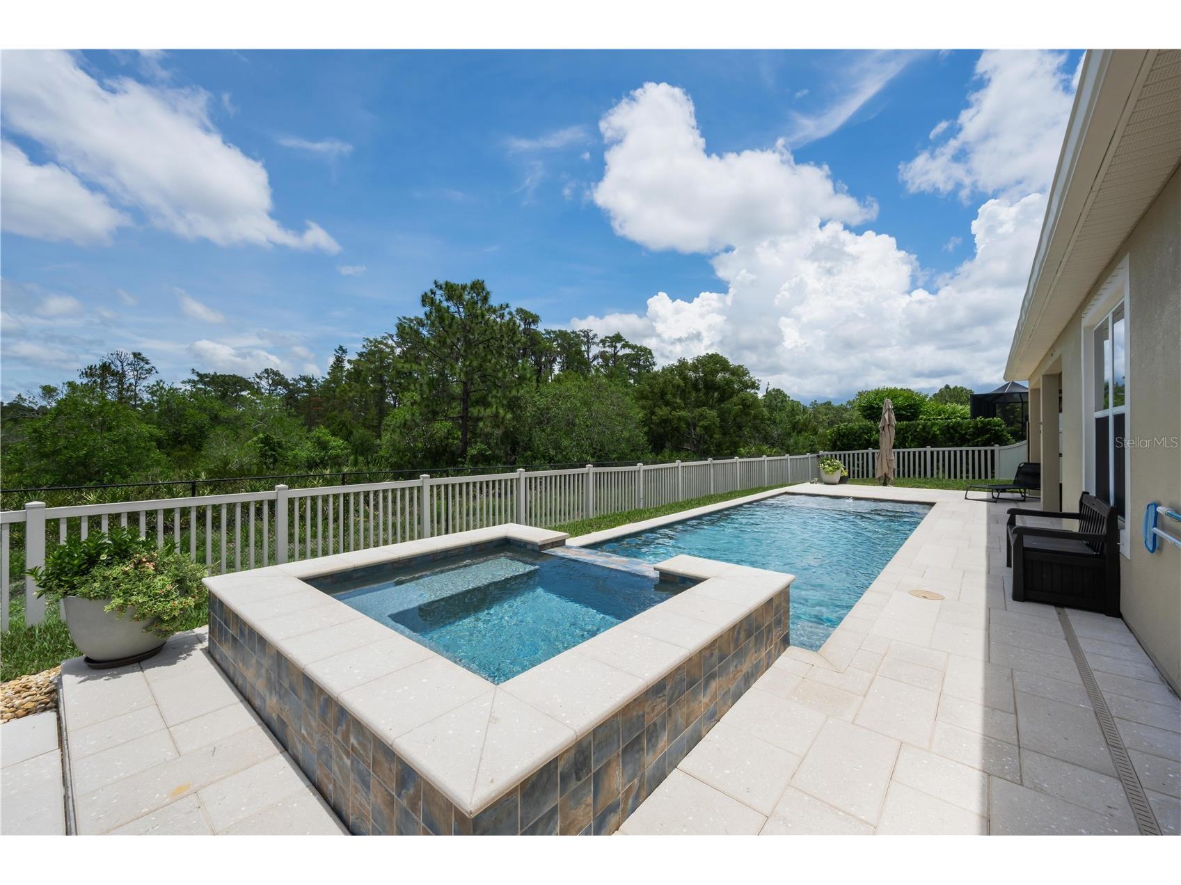 18233 Roseate Drive Lutz FL 33558 TB8512909 image42