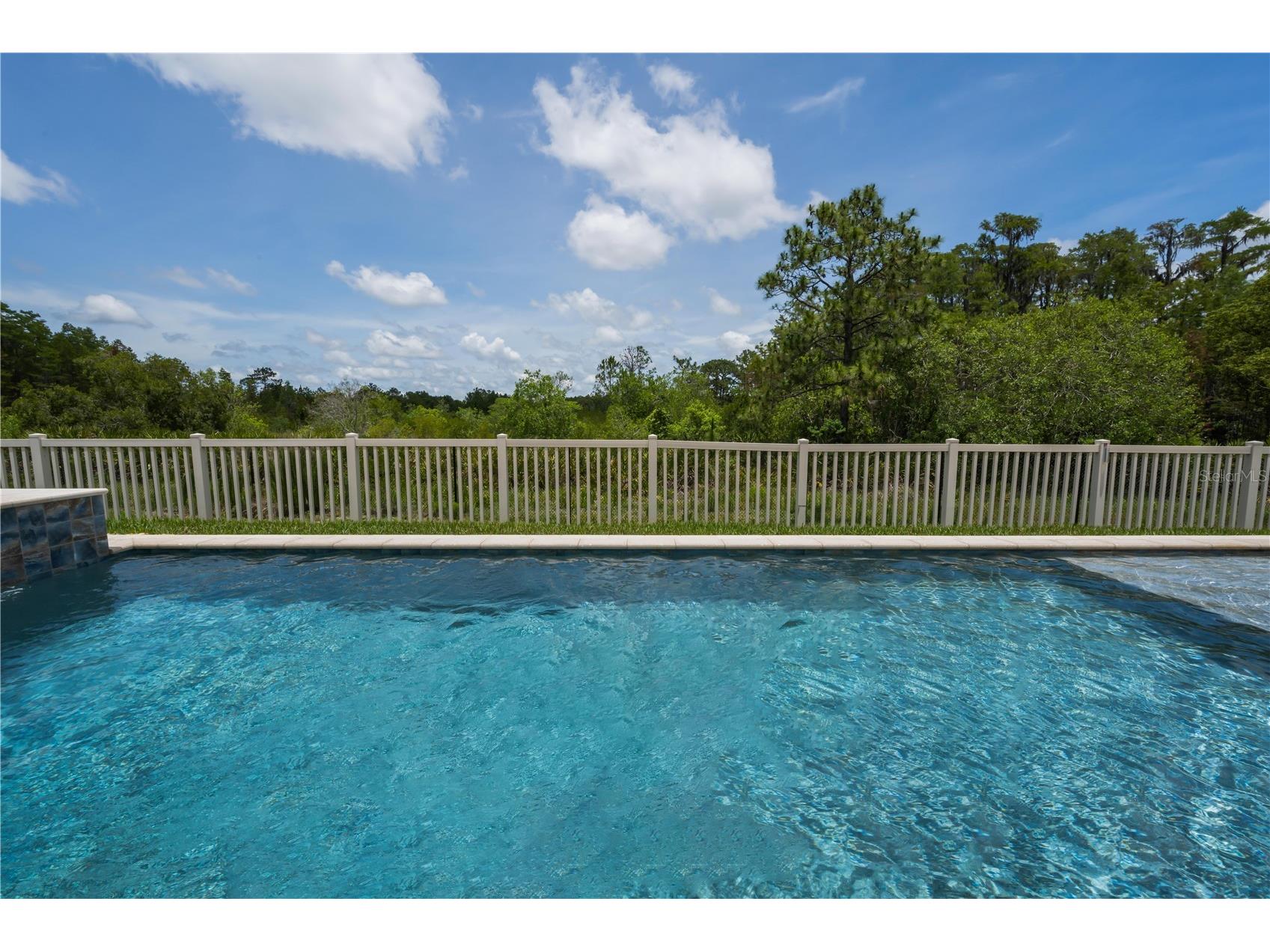 18233 Roseate Drive Lutz FL 33558 TB8512909 image43