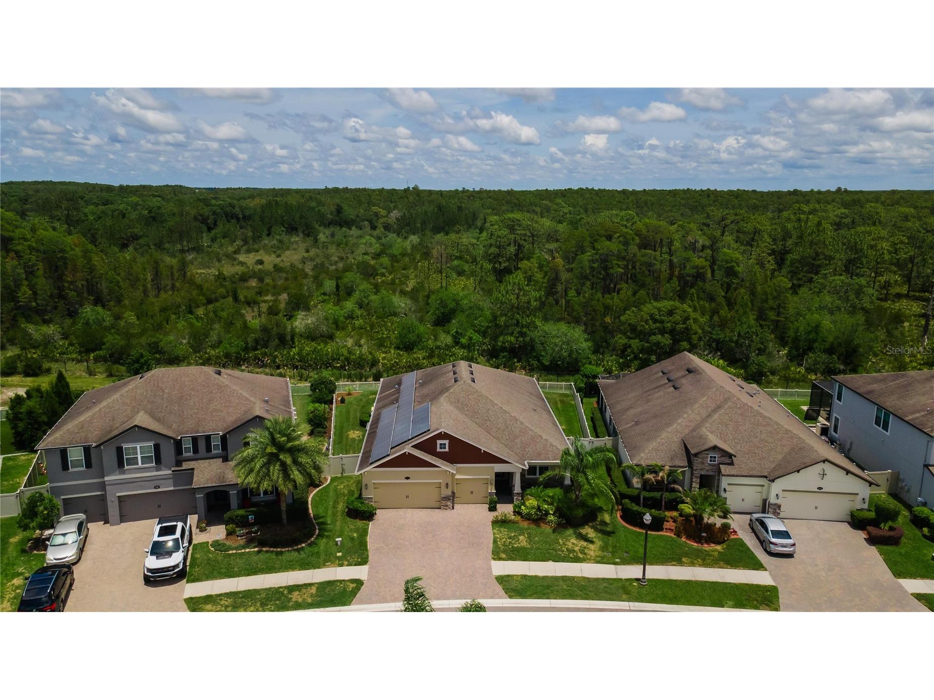 18233 Roseate Drive Lutz FL 33558 TB8512909 image48