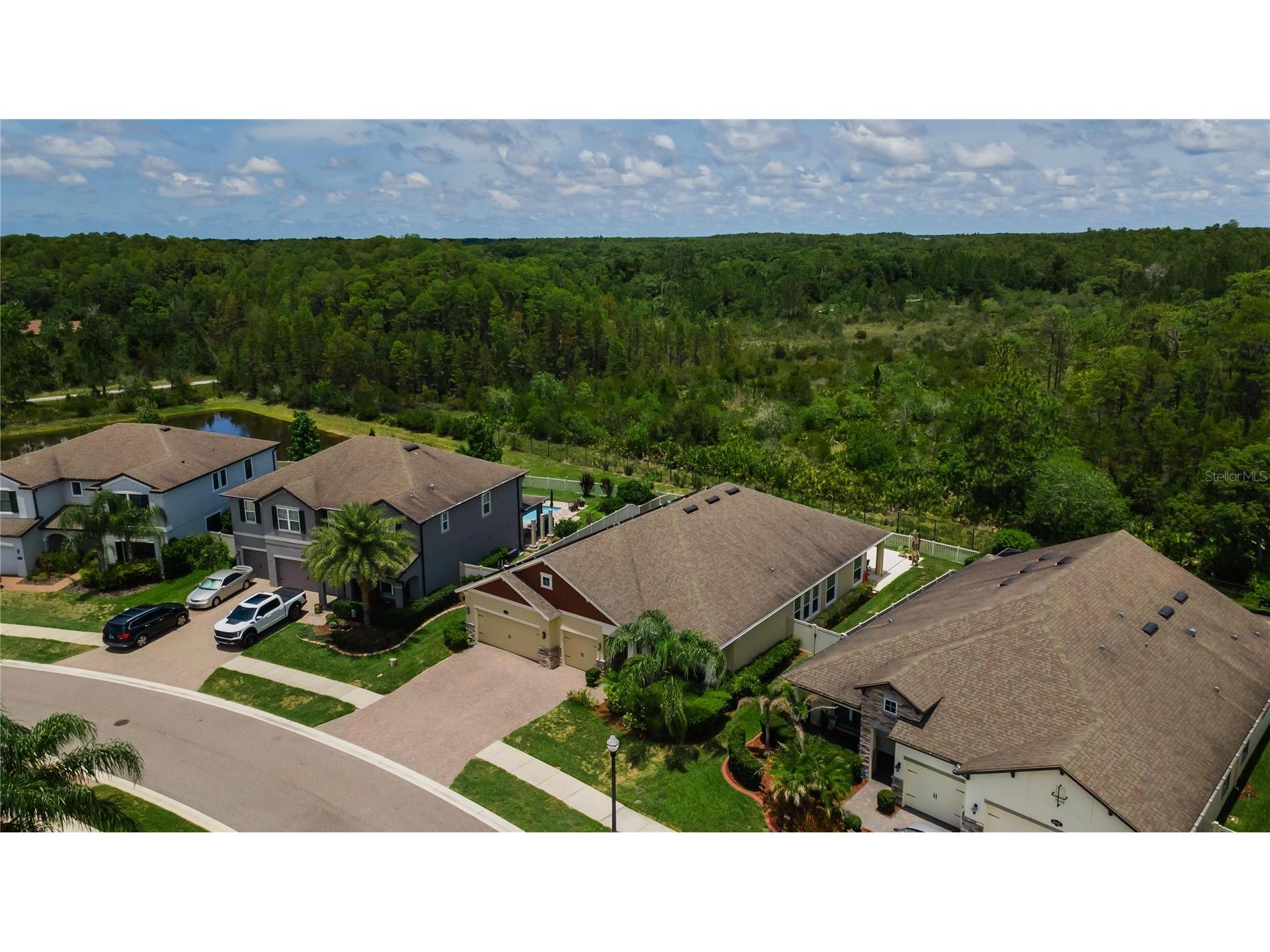 18233 Roseate Drive Lutz FL 33558 TB8512909 image49