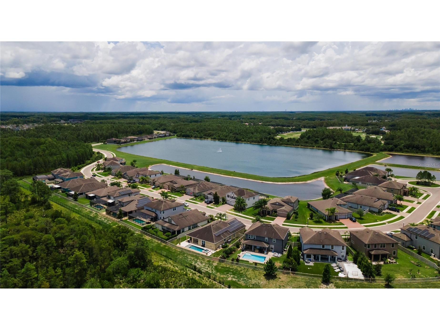 18233 Roseate Drive Lutz FL 33558 TB8512909 image50