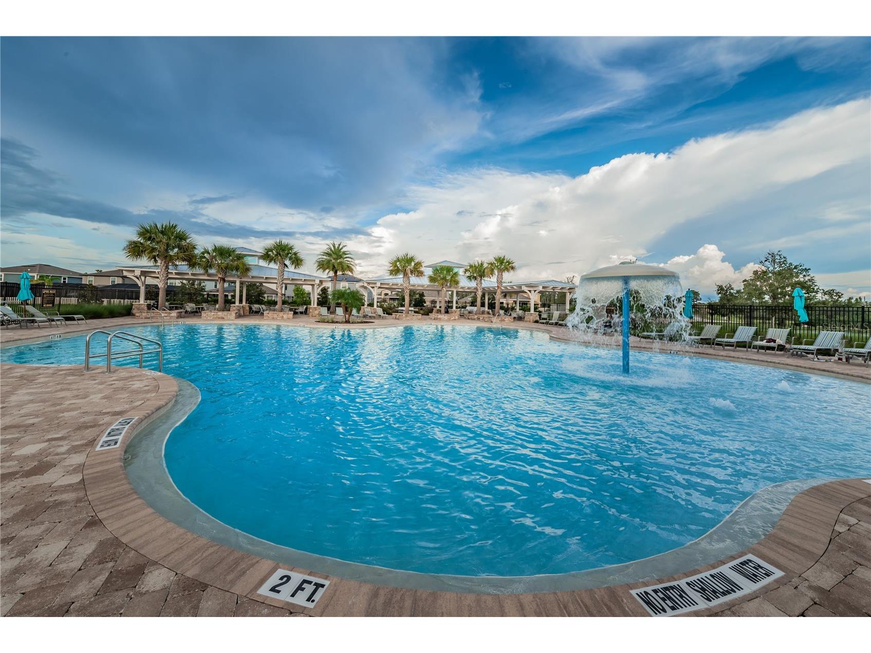 18233 Roseate Drive Lutz FL 33558 TB8512909 image52