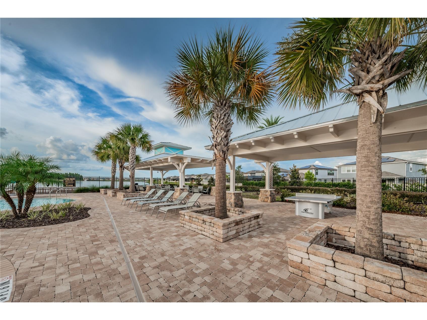 18233 Roseate Drive Lutz FL 33558 TB8512909 image59