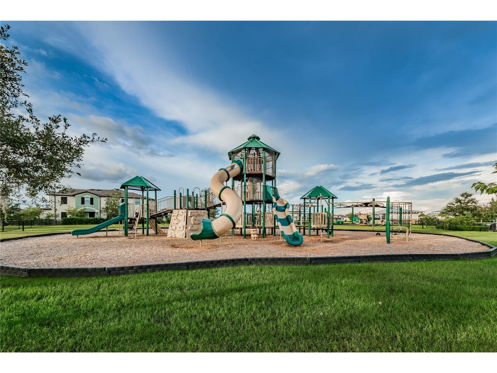 18233 Roseate Drive Lutz FL 33558 TB8512909 image60
