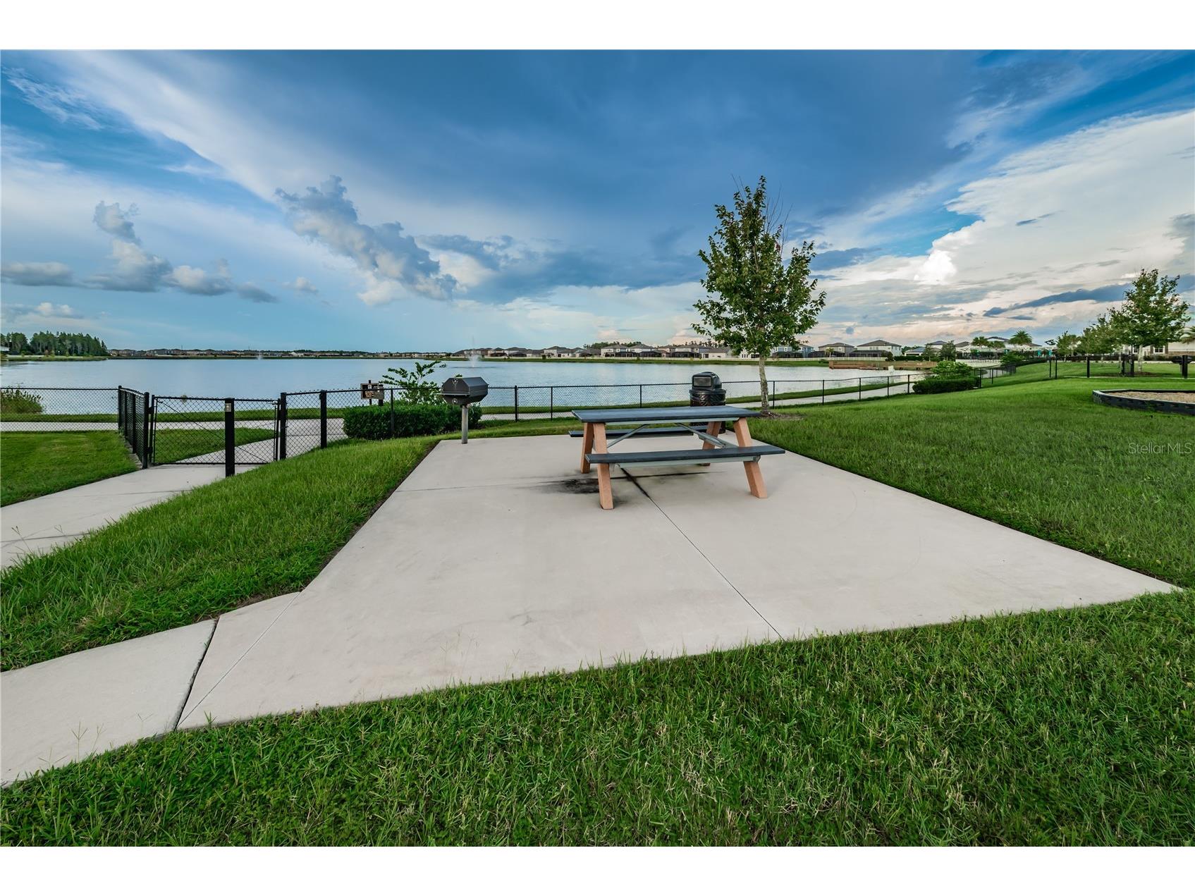18233 Roseate Drive Lutz FL 33558 TB8512909 image66