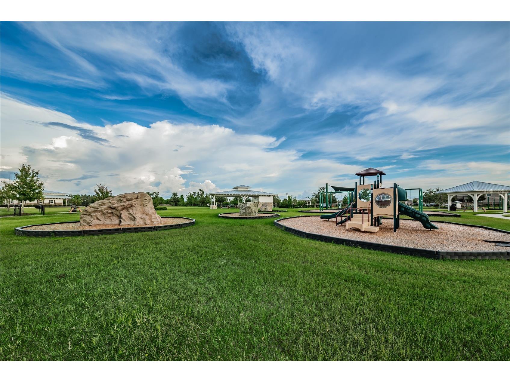 18233 Roseate Drive Lutz FL 33558 TB8512909 image67