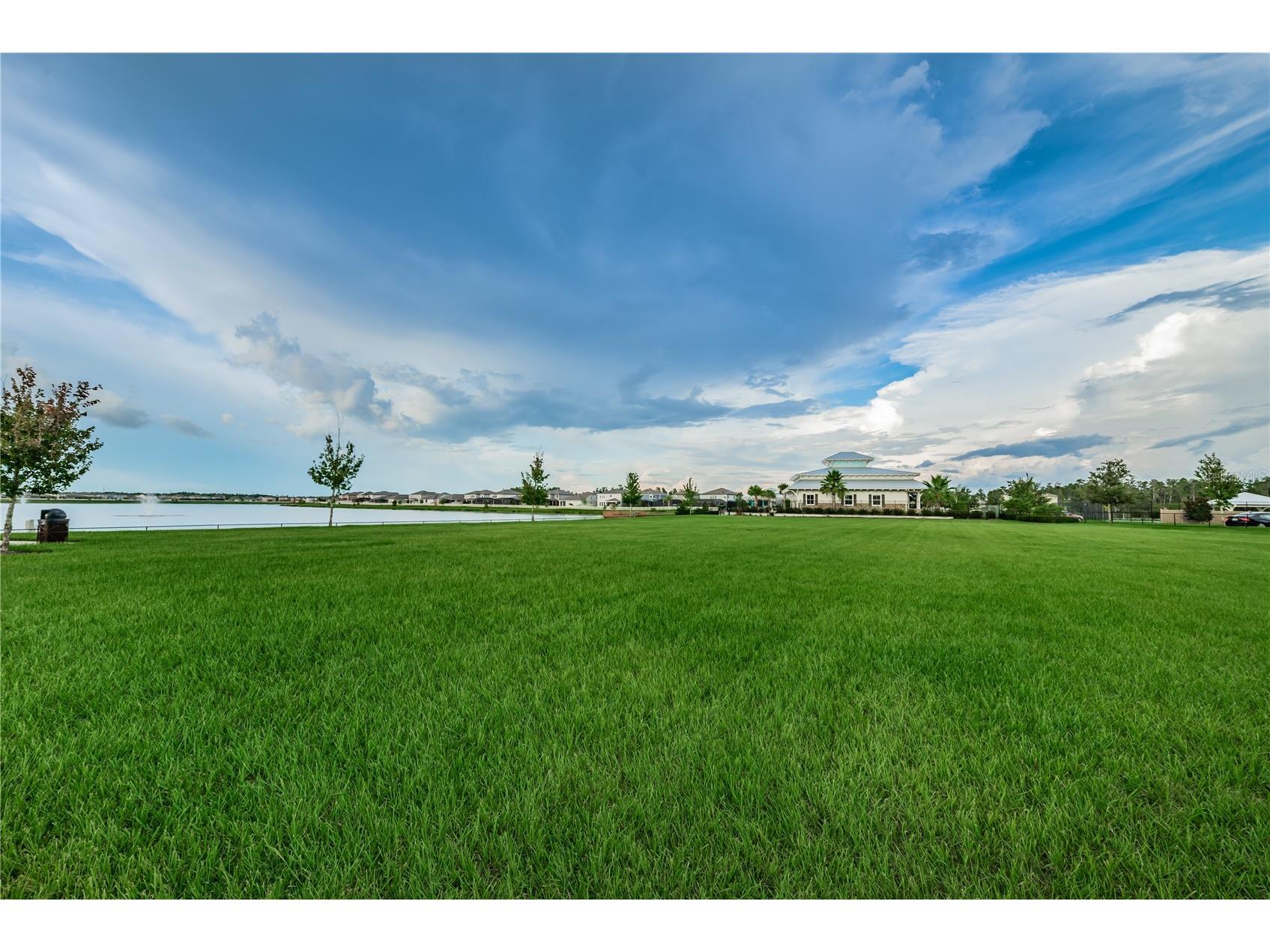 18233 Roseate Drive Lutz FL 33558 TB8512909 image69
