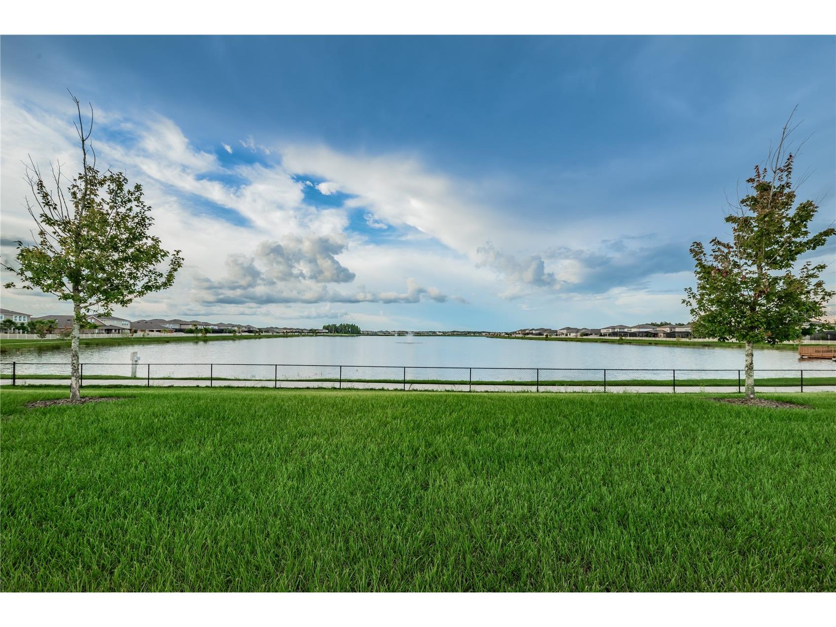 18233 Roseate Drive Lutz FL 33558 TB8512909 image70