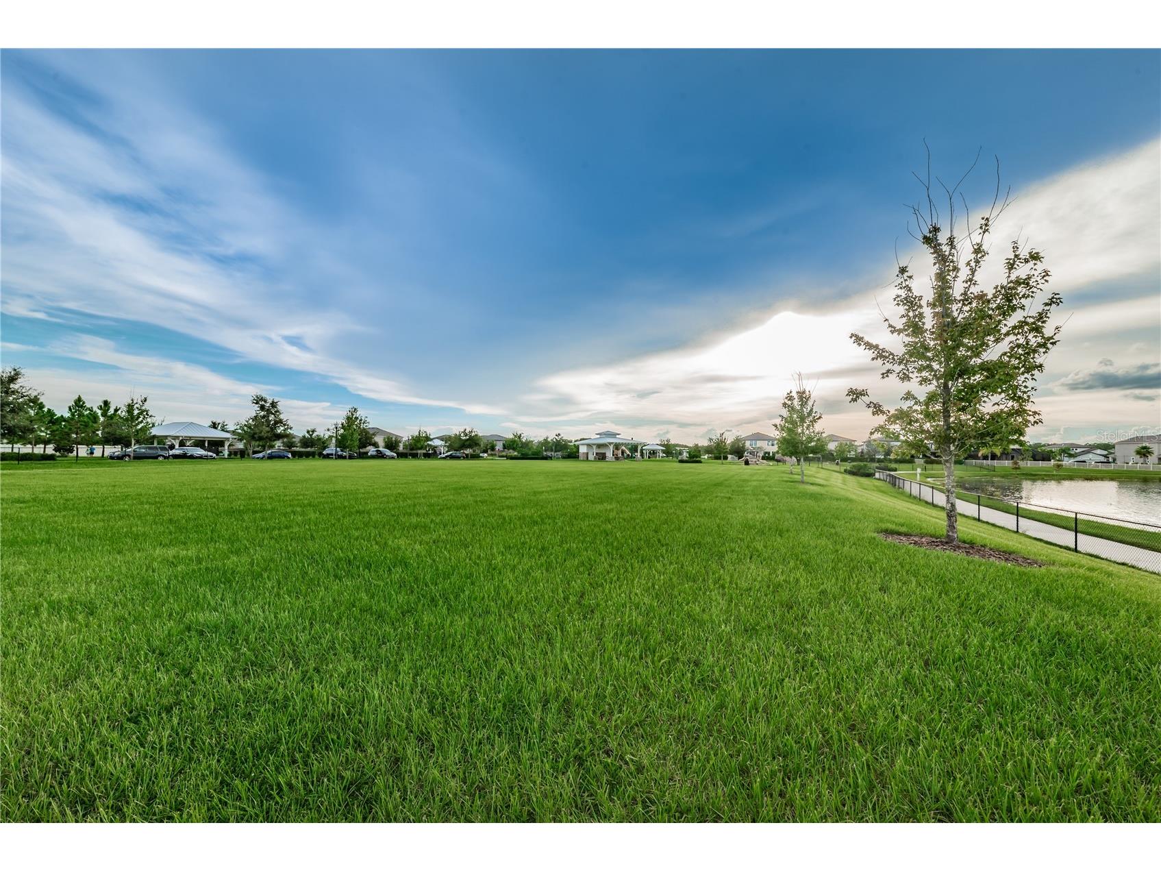 18233 Roseate Drive Lutz FL 33558 TB8512909 image71