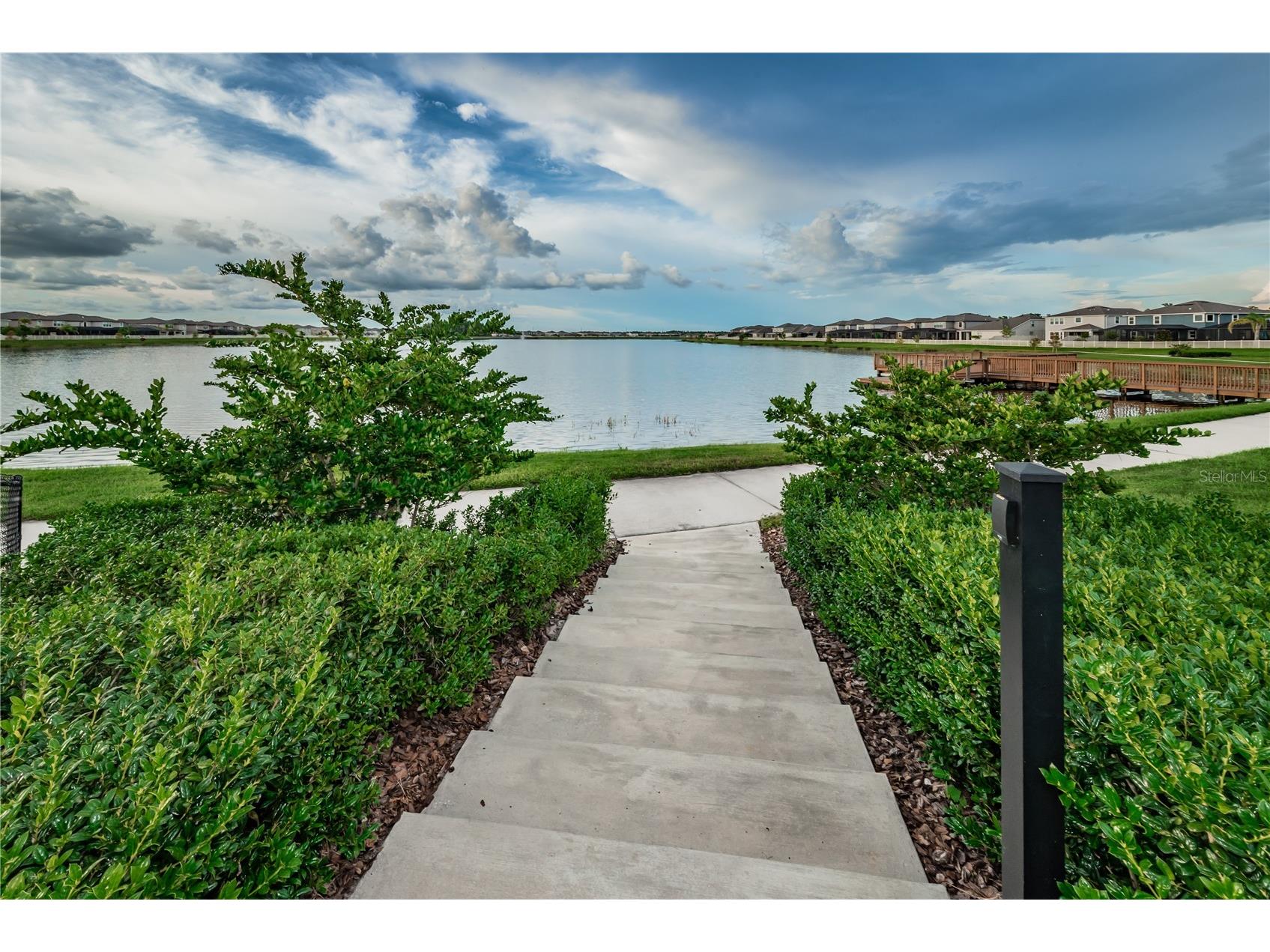 18233 Roseate Drive Lutz FL 33558 TB8512909 image72