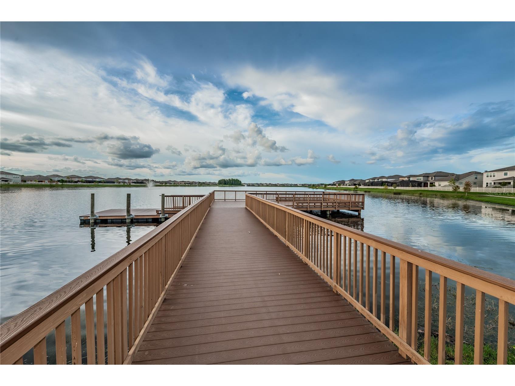 18233 Roseate Drive Lutz FL 33558 TB8512909 image74