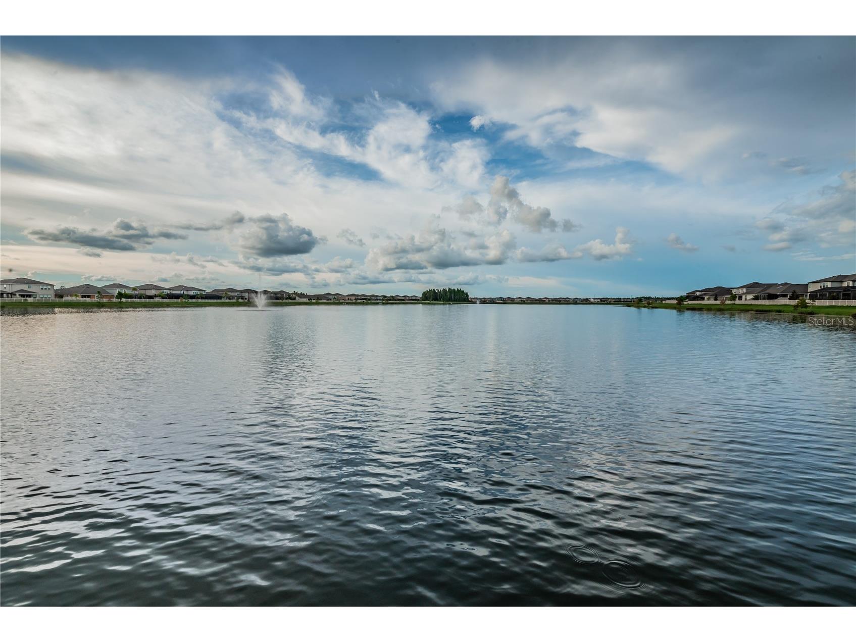 18233 Roseate Drive Lutz FL 33558 TB8512909 image76