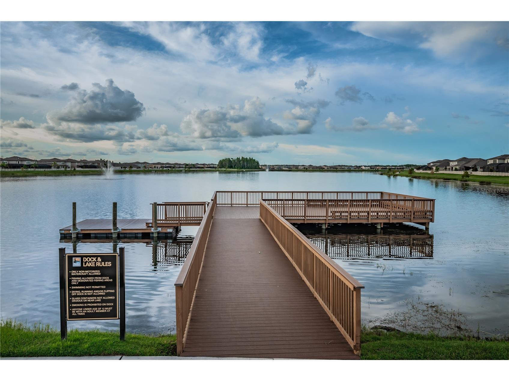 18233 Roseate Drive Lutz FL 33558 TB8512909 image77