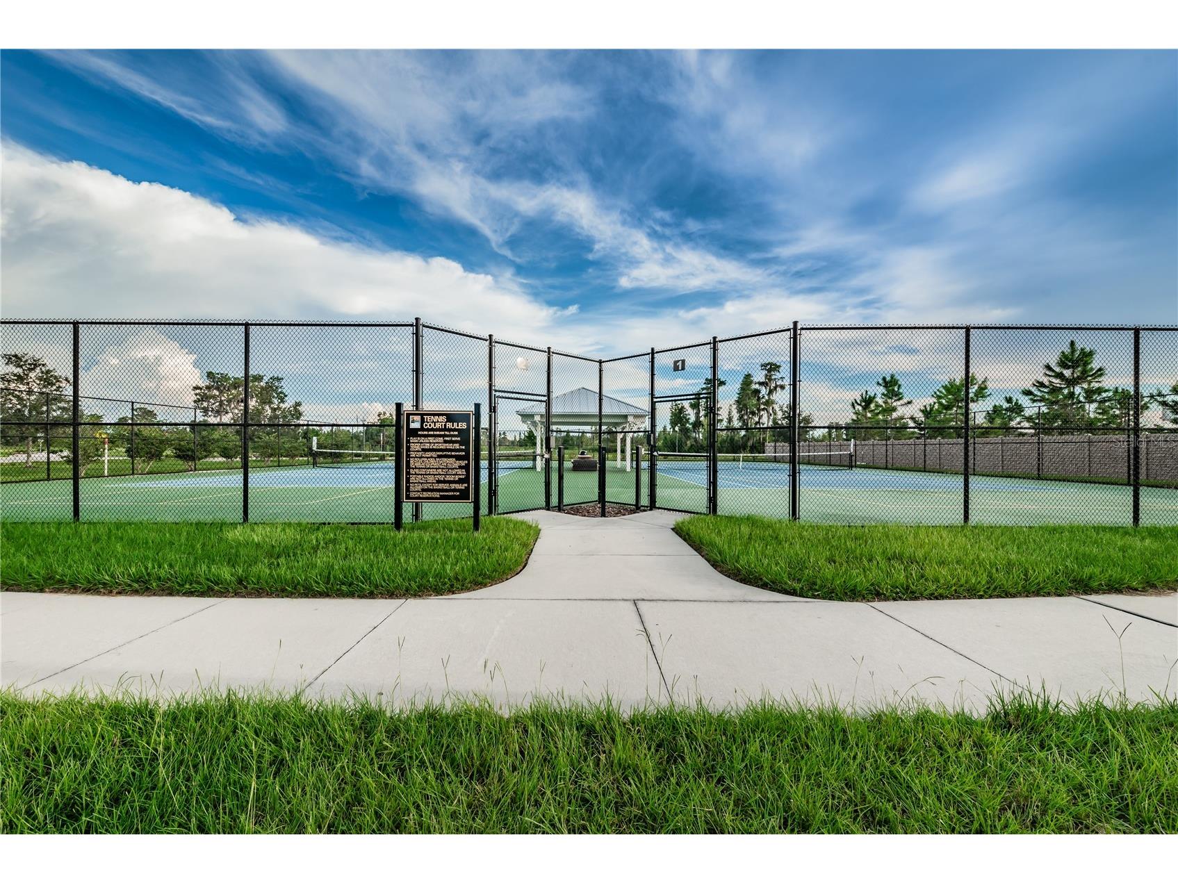 18233 Roseate Drive Lutz FL 33558 TB8512909 image83