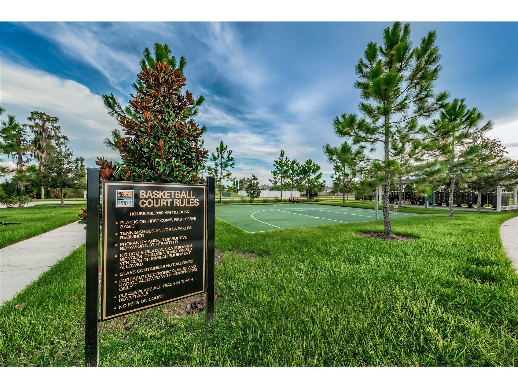 18233 Roseate Drive Lutz FL 33558 TB8512909 image84