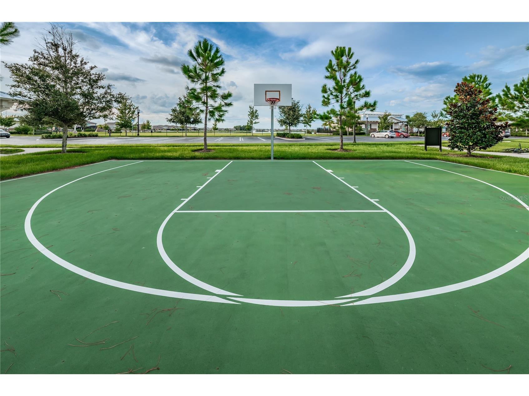 18233 Roseate Drive Lutz FL 33558 TB8512909 image85