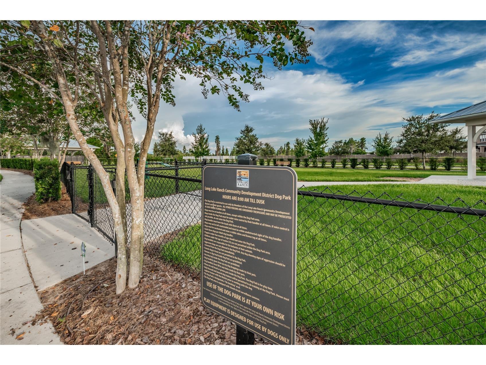 18233 Roseate Drive Lutz FL 33558 TB8512909 image86