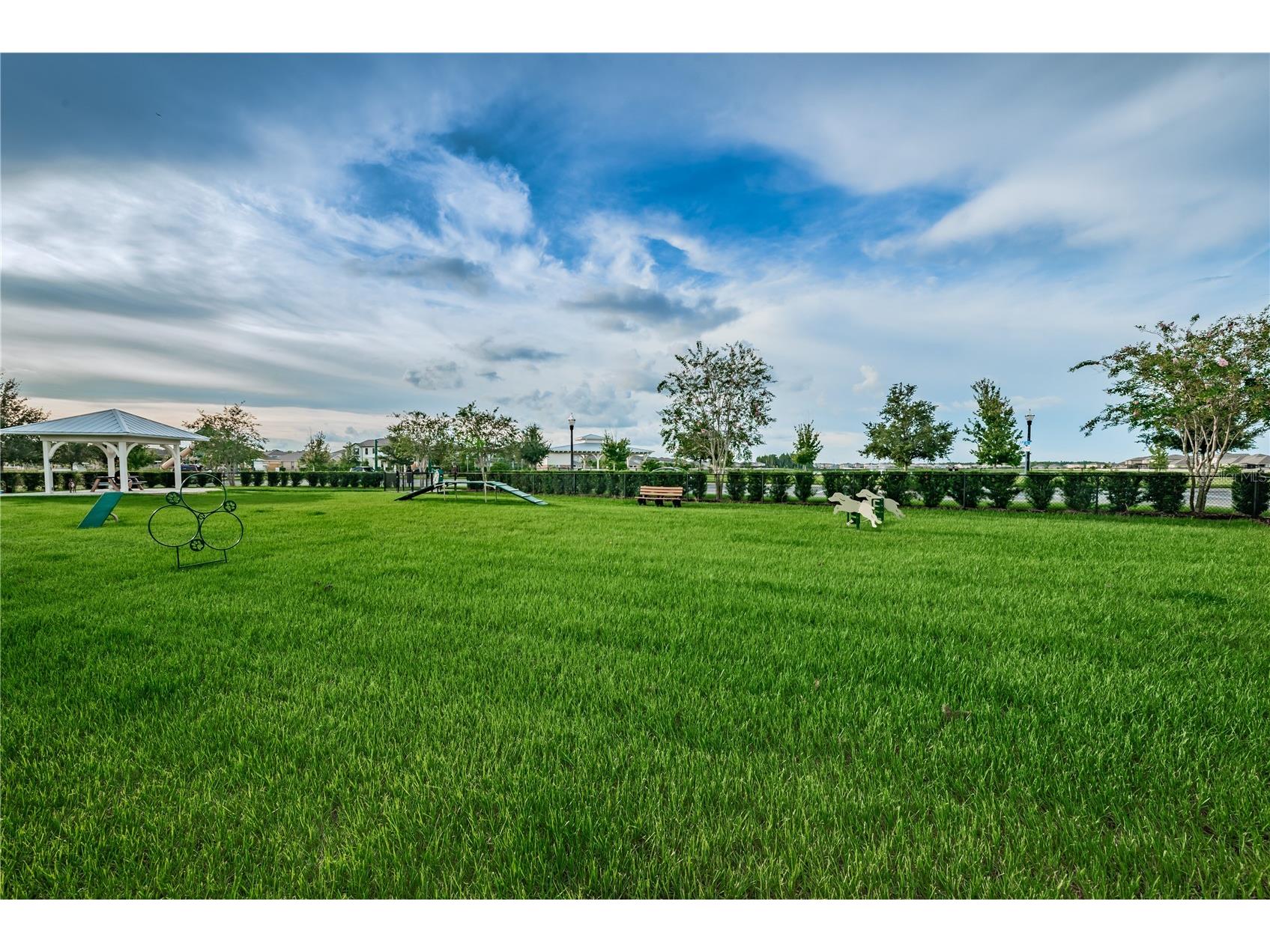 18233 Roseate Drive Lutz FL 33558 TB8512909 image87