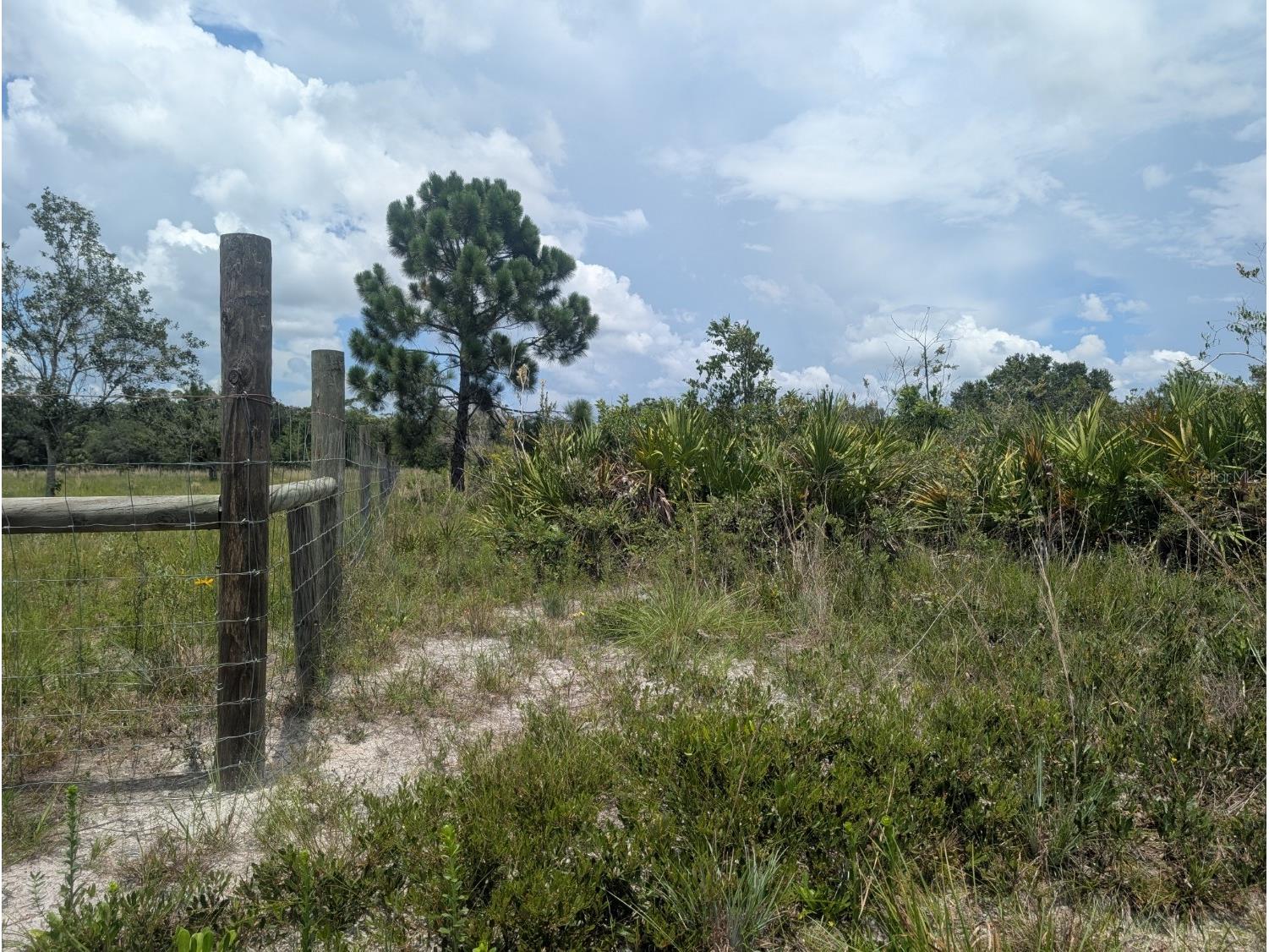 18235 NW 250th Street Okeechobee FL 34972 A4688344 image22