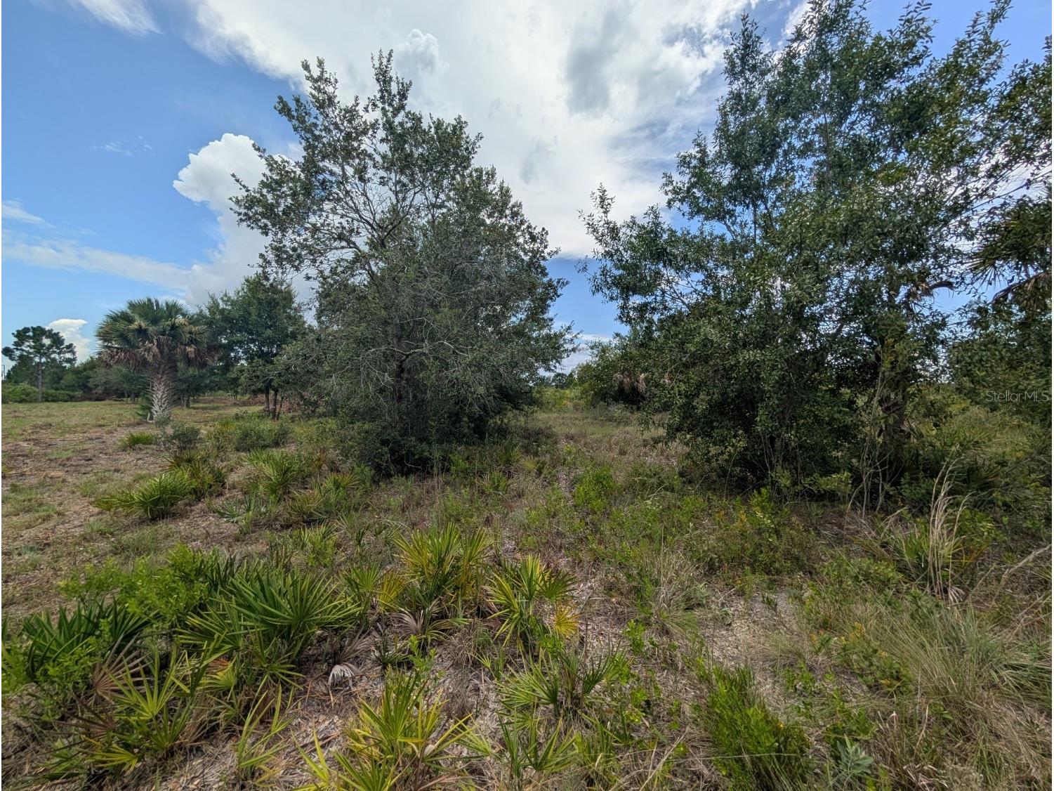 18235 NW 250th Street Okeechobee FL 34972 A4688344 image23