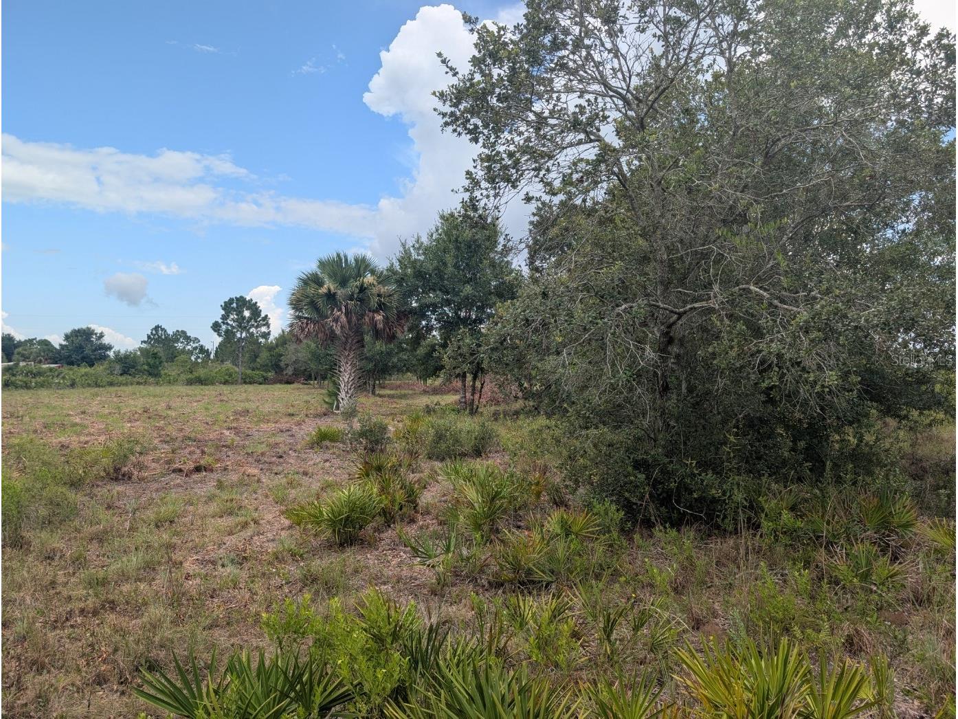 18235 NW 250th Street Okeechobee FL 34972 A4688344 image24
