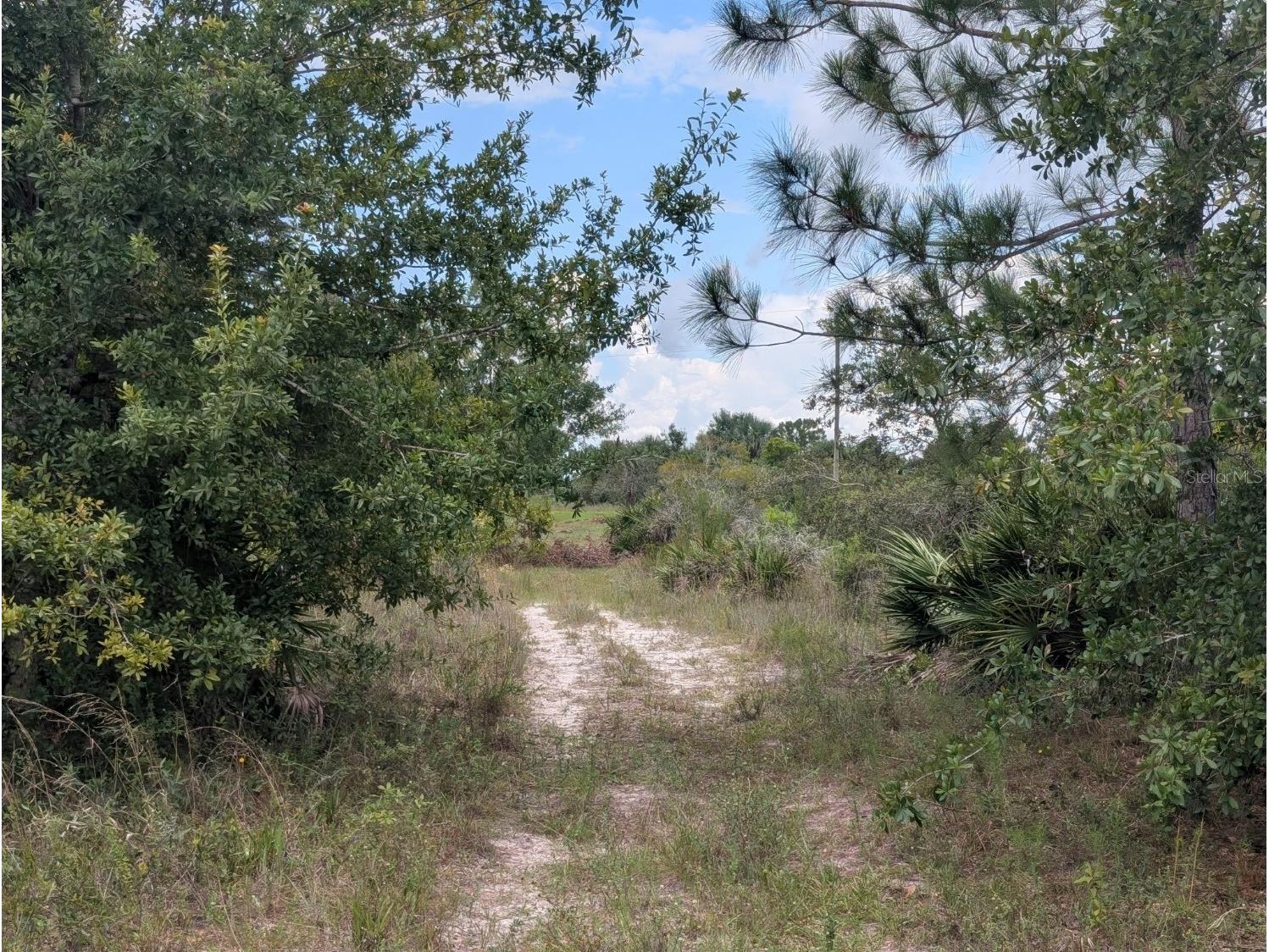 18235 NW 250th Street Okeechobee FL 34972 A4688344 image25