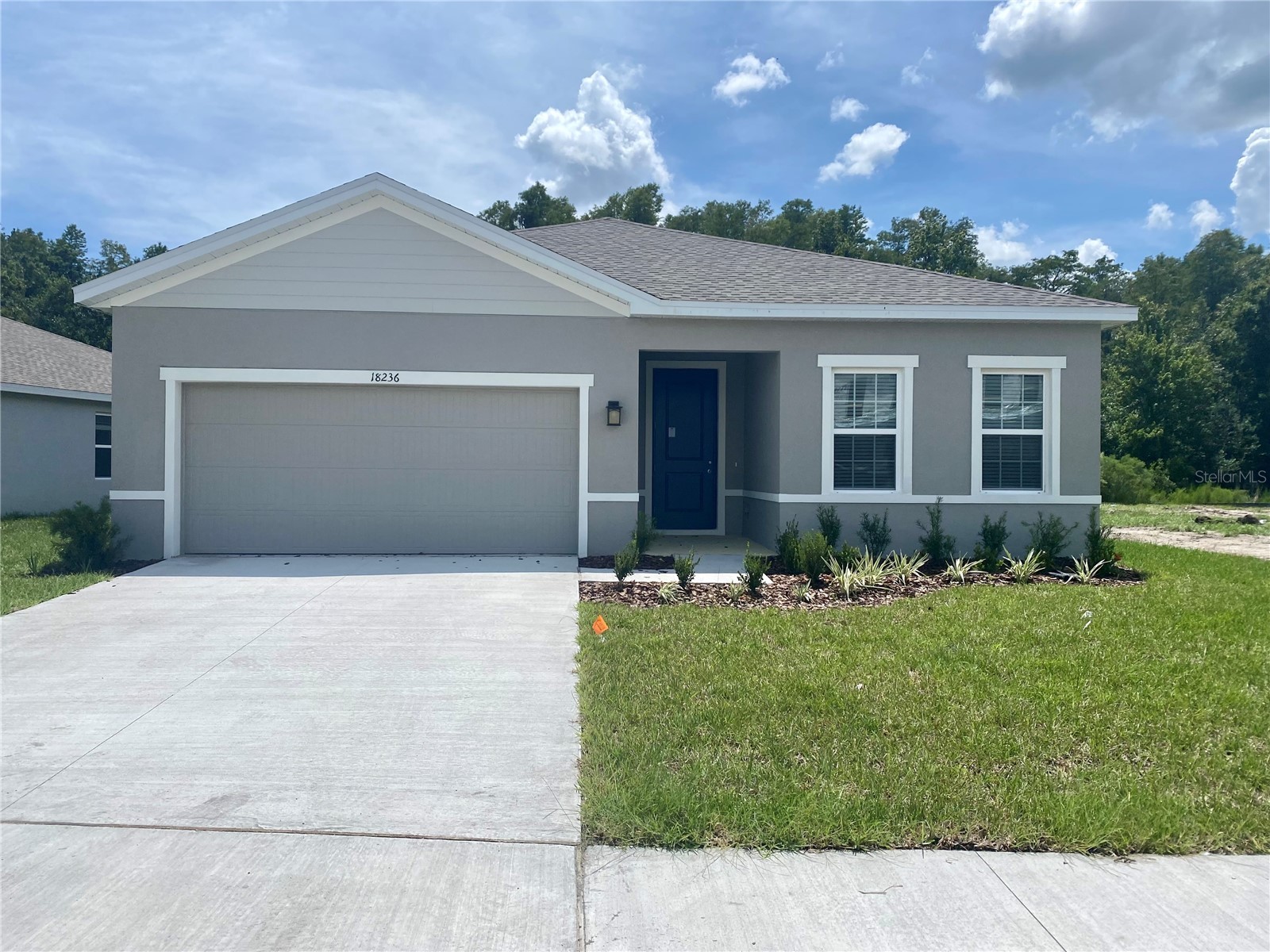 18236 Hunters Meadow Walk Land O Lakes FL 34638 TB8499539 image1