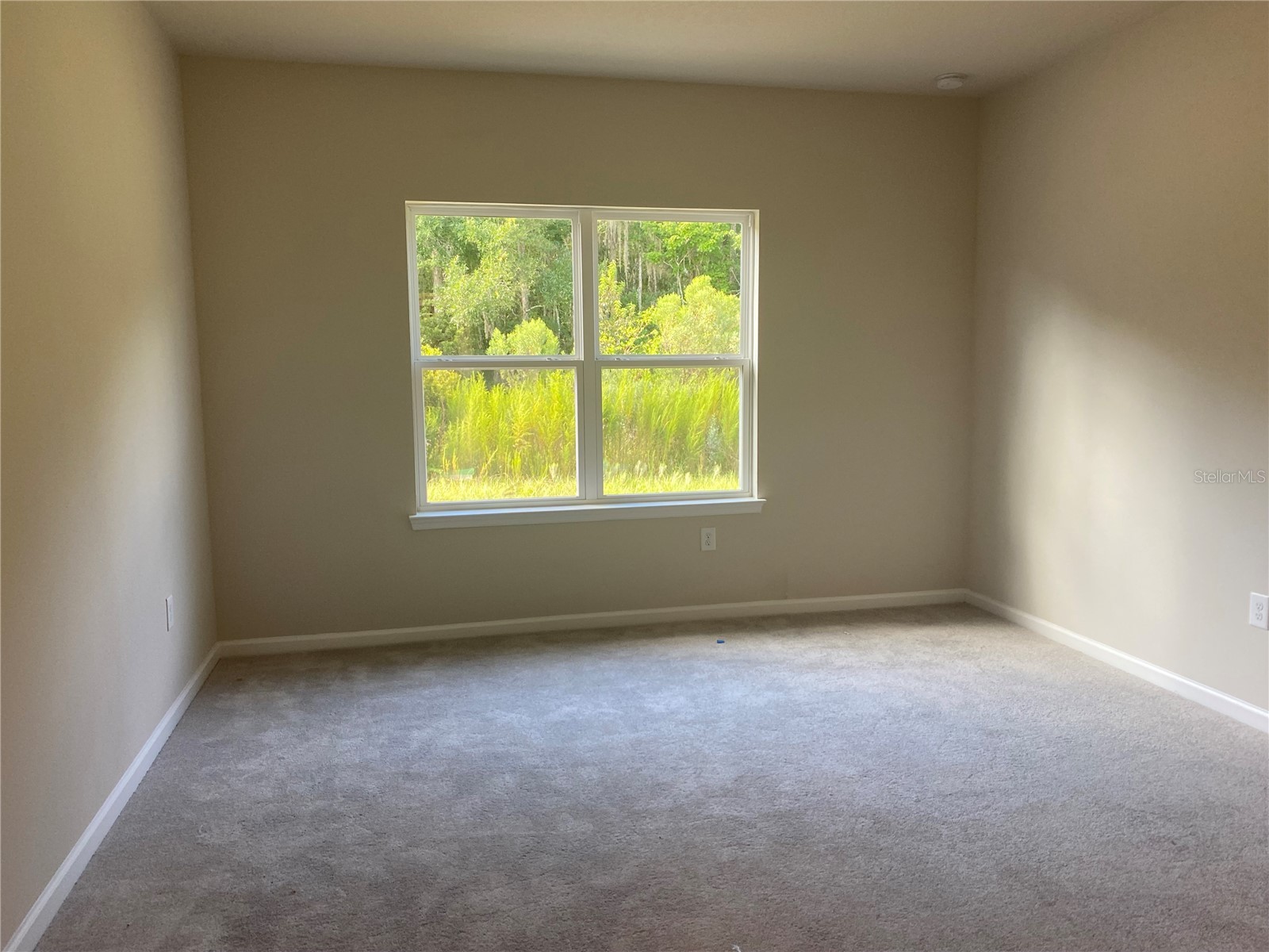 18236 Hunters Meadow Walk Land O Lakes FL 34638 TB8499539 image14