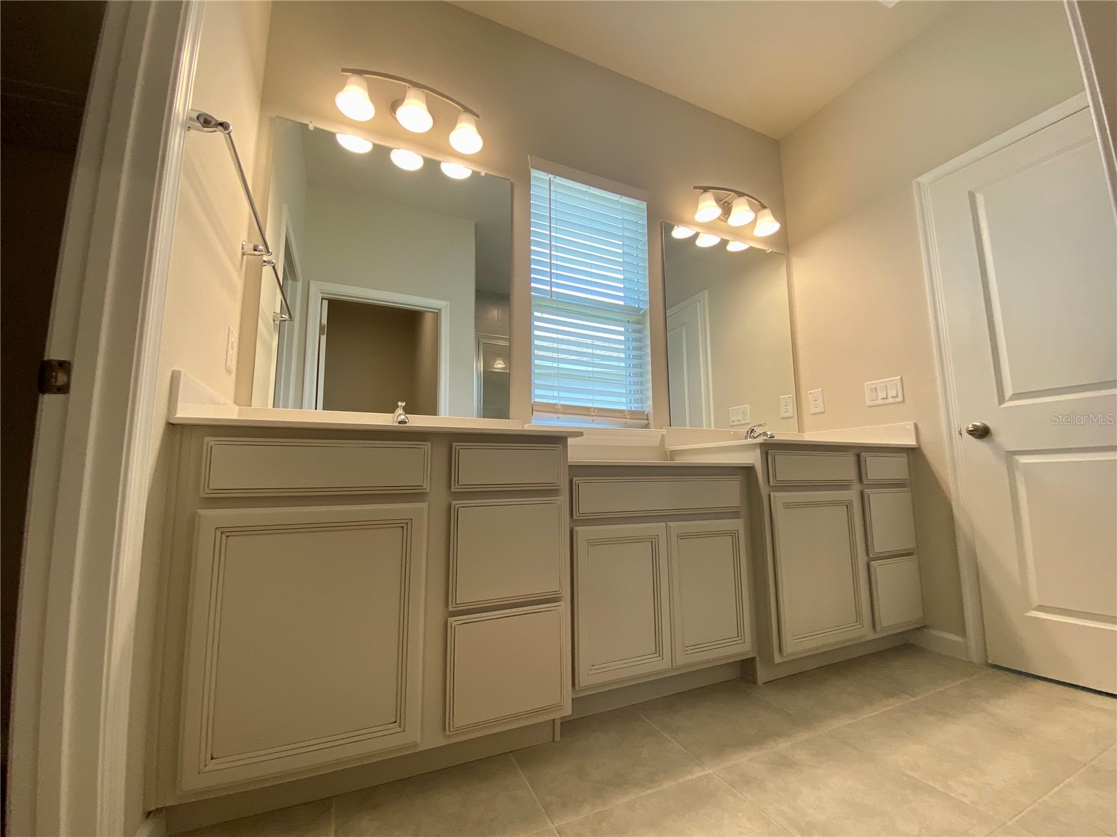 18236 Hunters Meadow Walk Land O Lakes FL 34638 TB8499539 image18