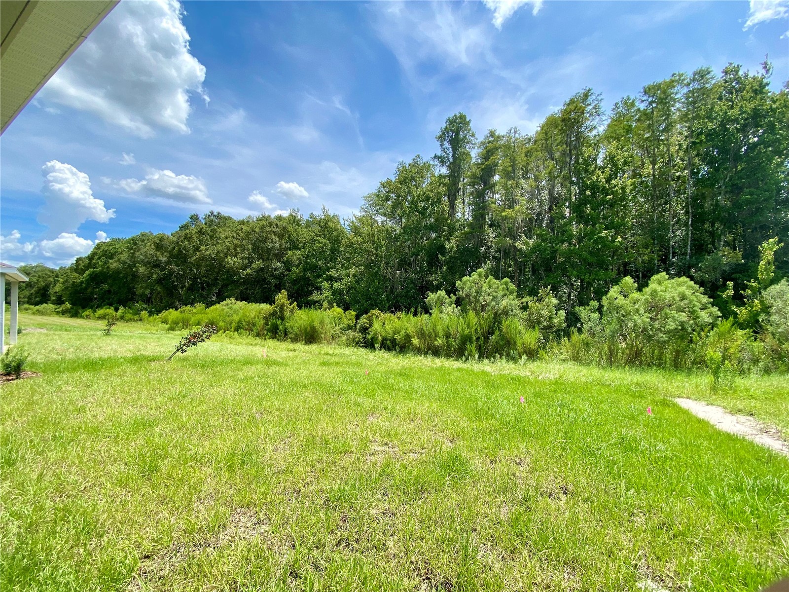18236 Hunters Meadow Walk Land O Lakes FL 34638 TB8499539 image29